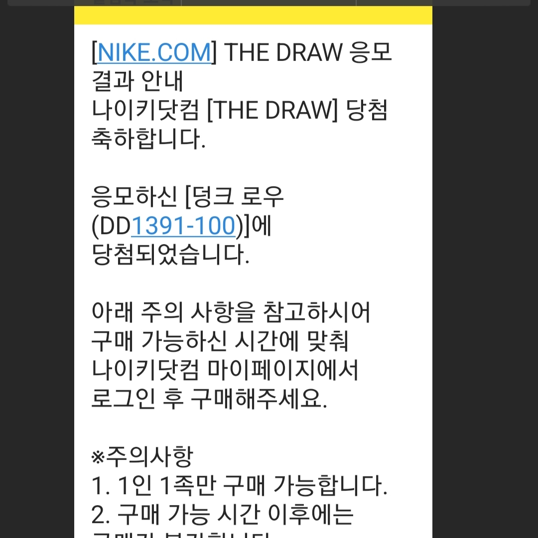 Nike Dunk Low Retro Black 착용 스타일 - 2