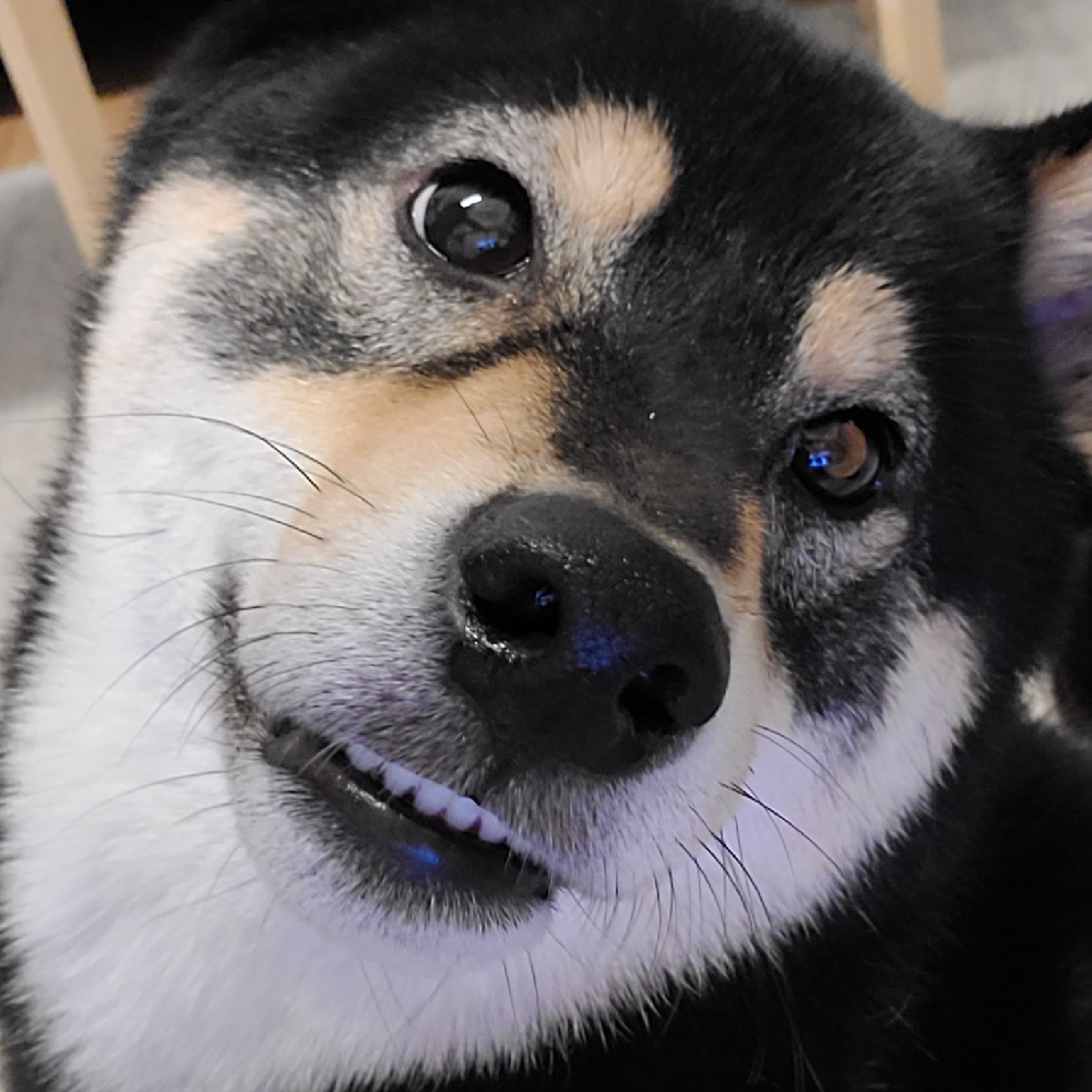 관심 유저 프로필 이미지