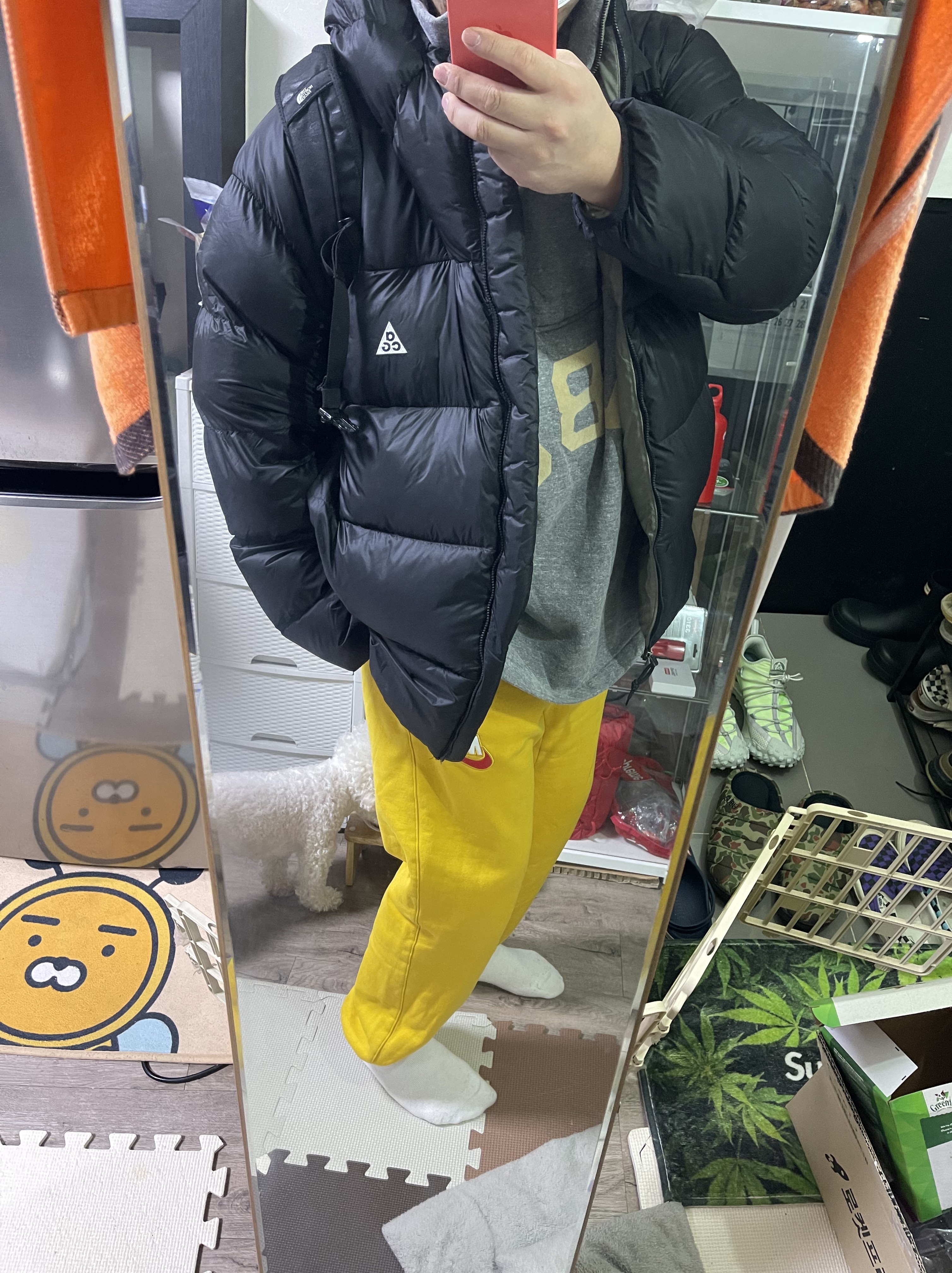 Nike ACG Therma-Fit ADV Lunar Lake Puffer Jacket Black - US/EU 착용 스타일