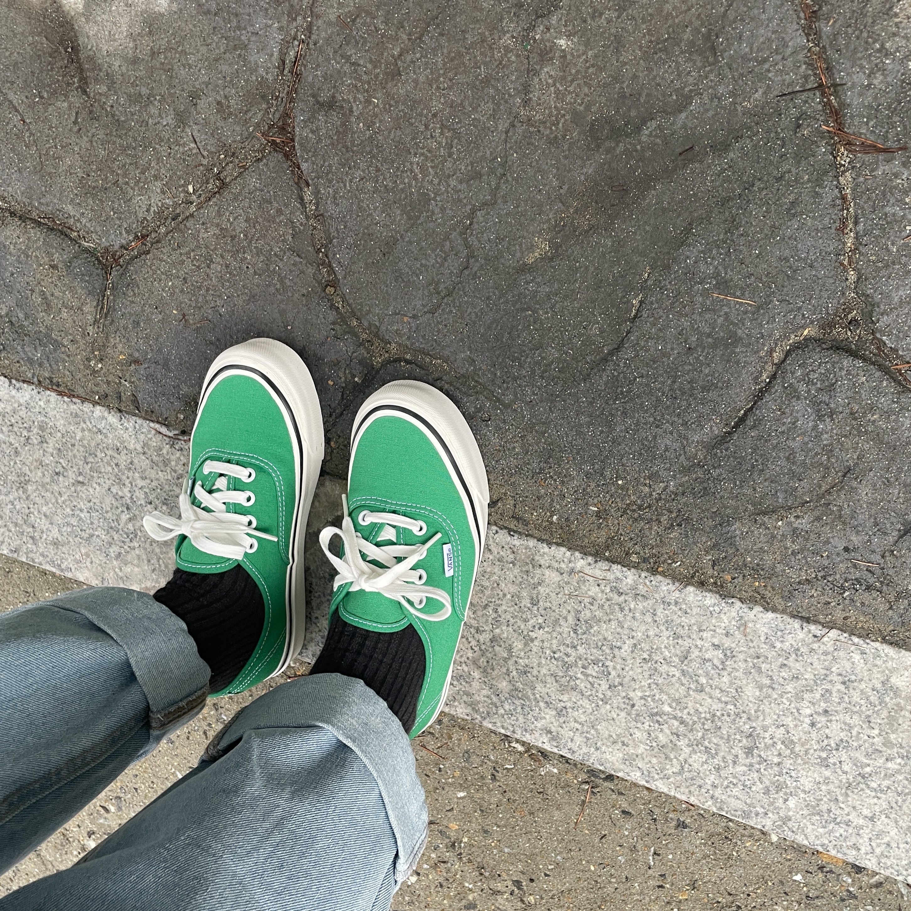 Vans Authentic 44 DX Anaheim Factory Emerald Green 착용 스타일
