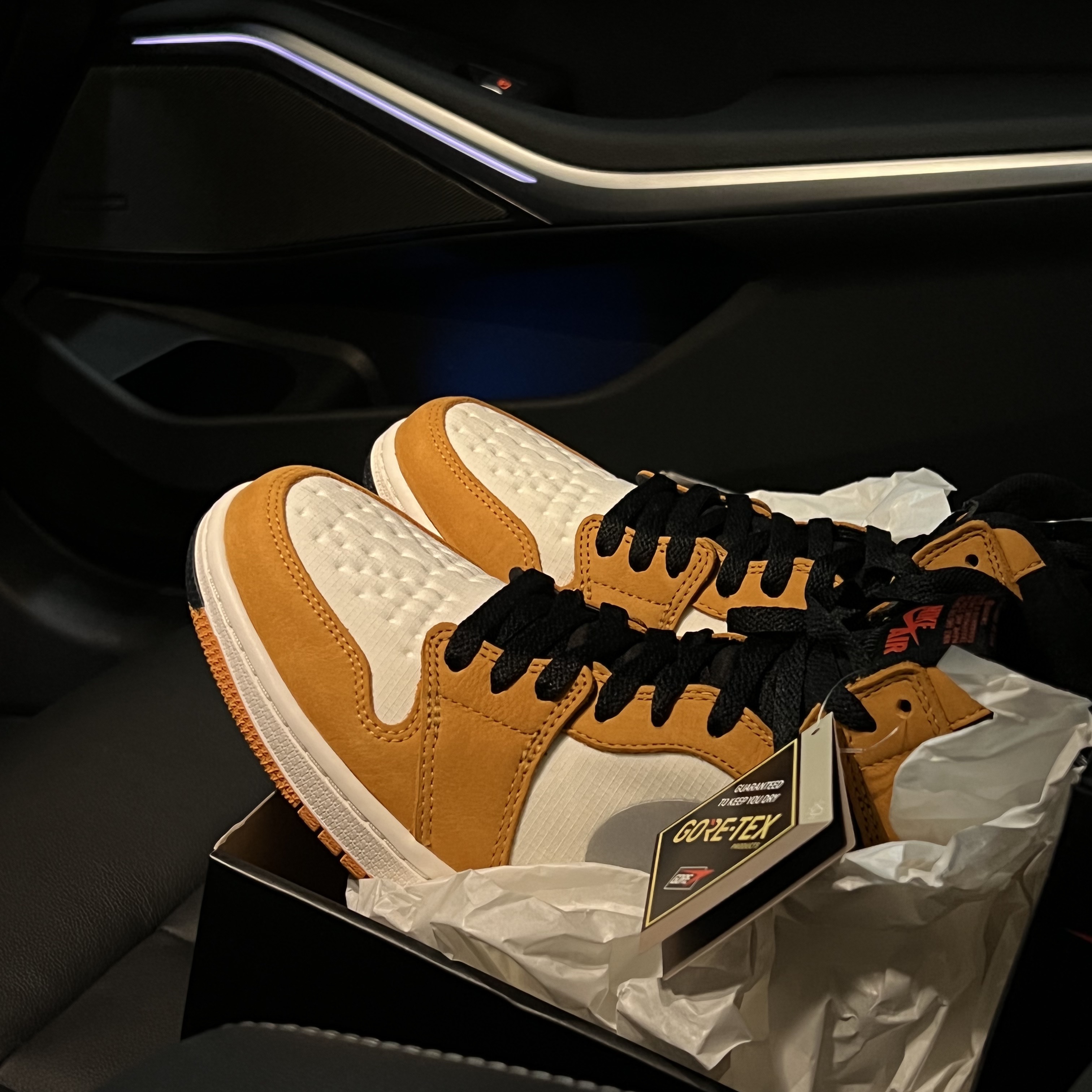 Jordan 1 Element Gore-Tex Light Curry 착용 스타일