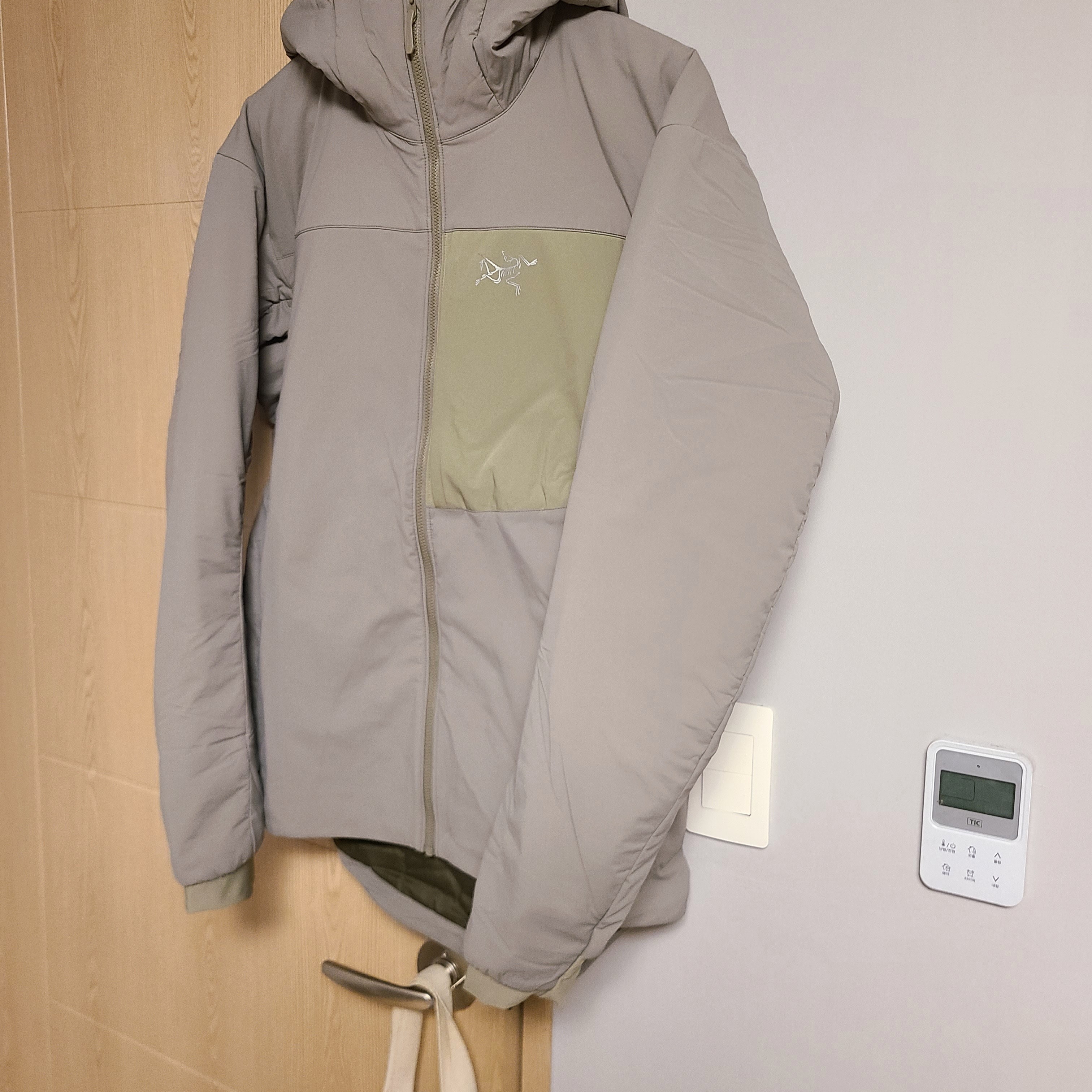 Arc'teryx Proton LT Hoody Distortion 착용 스타일 - 2