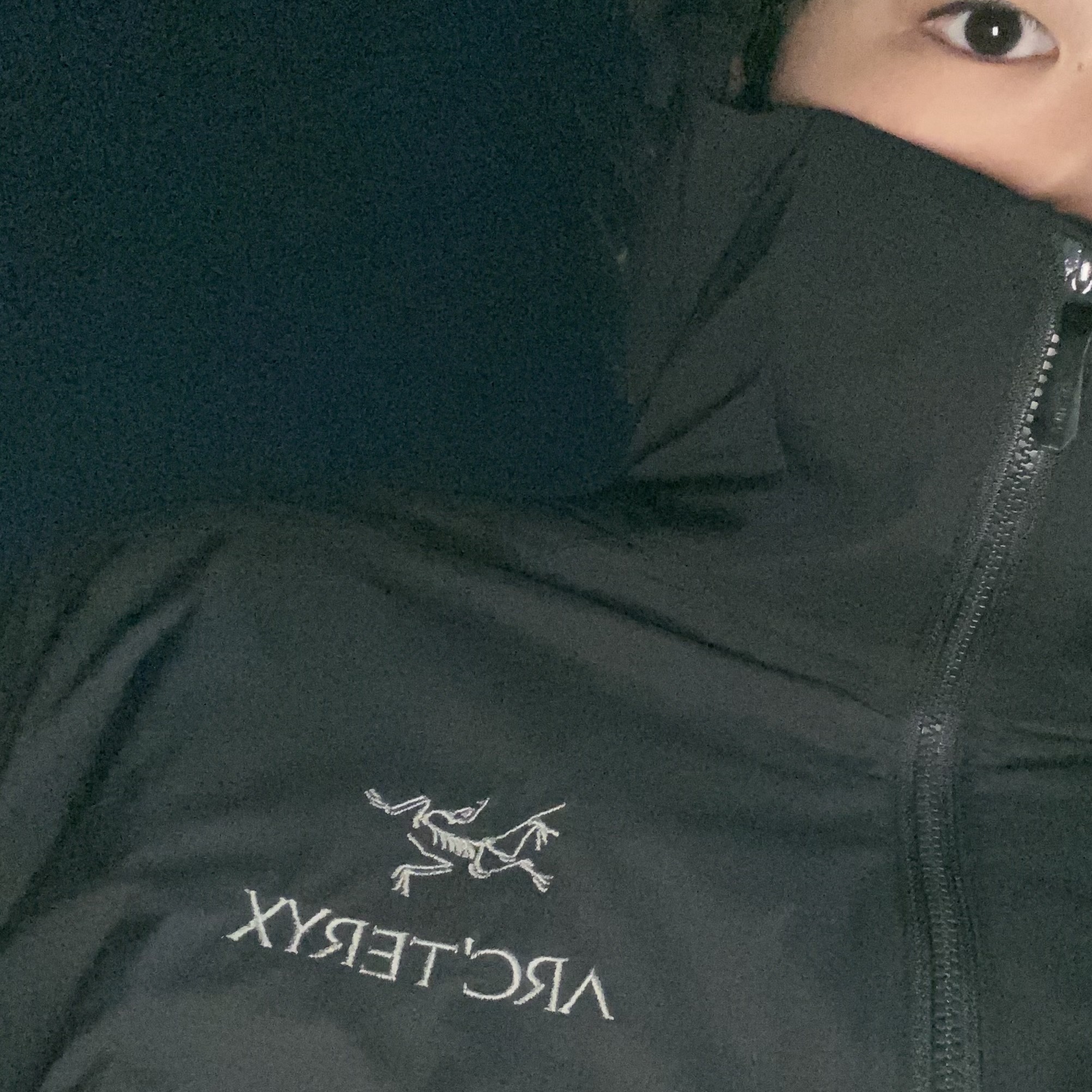 Arc'teryx Atom LT Hoody Black 착용 스타일 - 2
