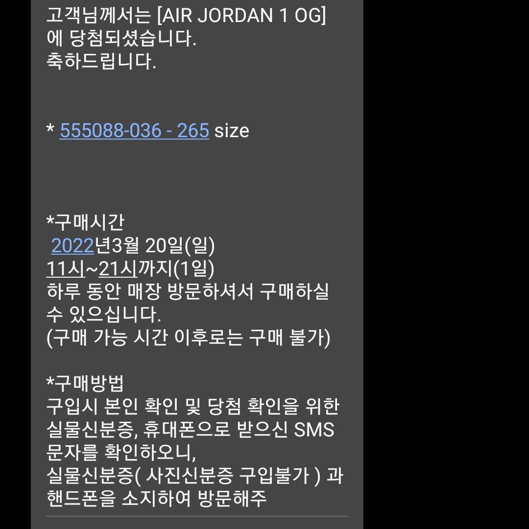 Jordan 1 Retro High OG Rebellionaire 착용 스타일 - 4