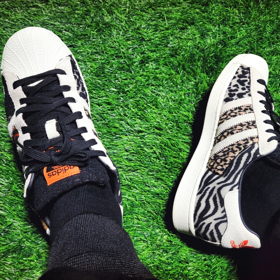 Adidas x Atmos Superstar Crazy Animal 착용 스타일 - 5