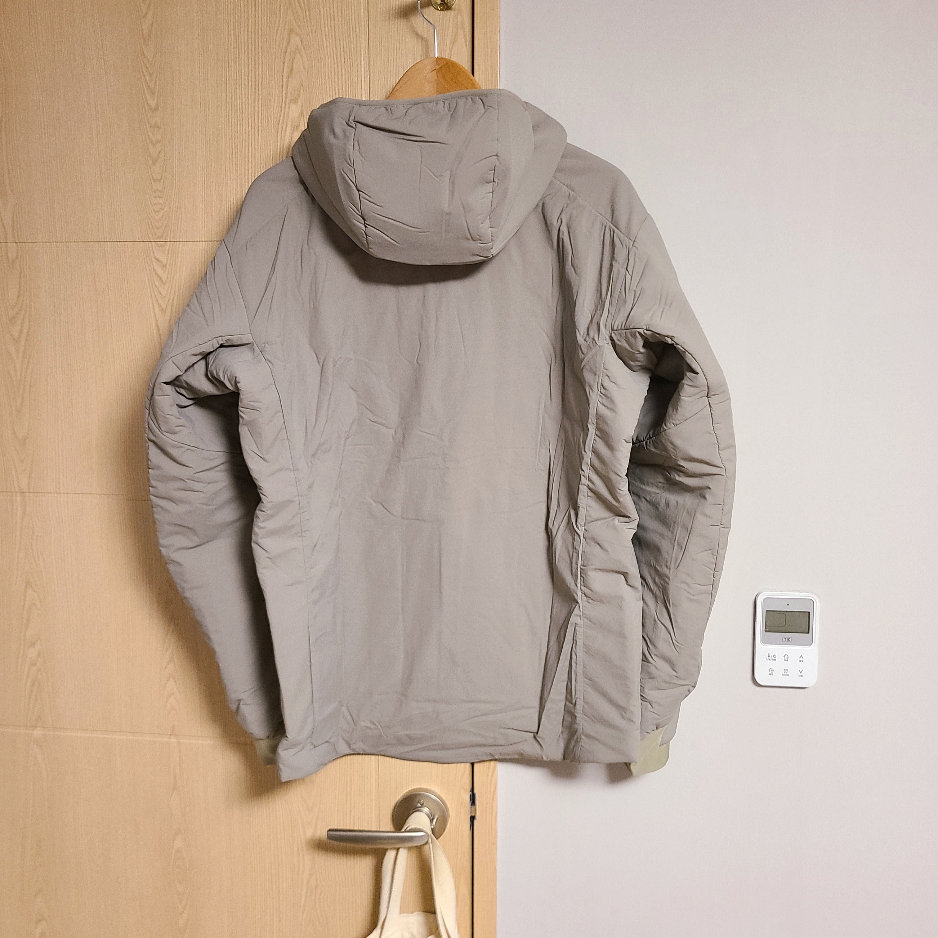 Arc'teryx Proton LT Hoody Distortion 착용 스타일 - 3