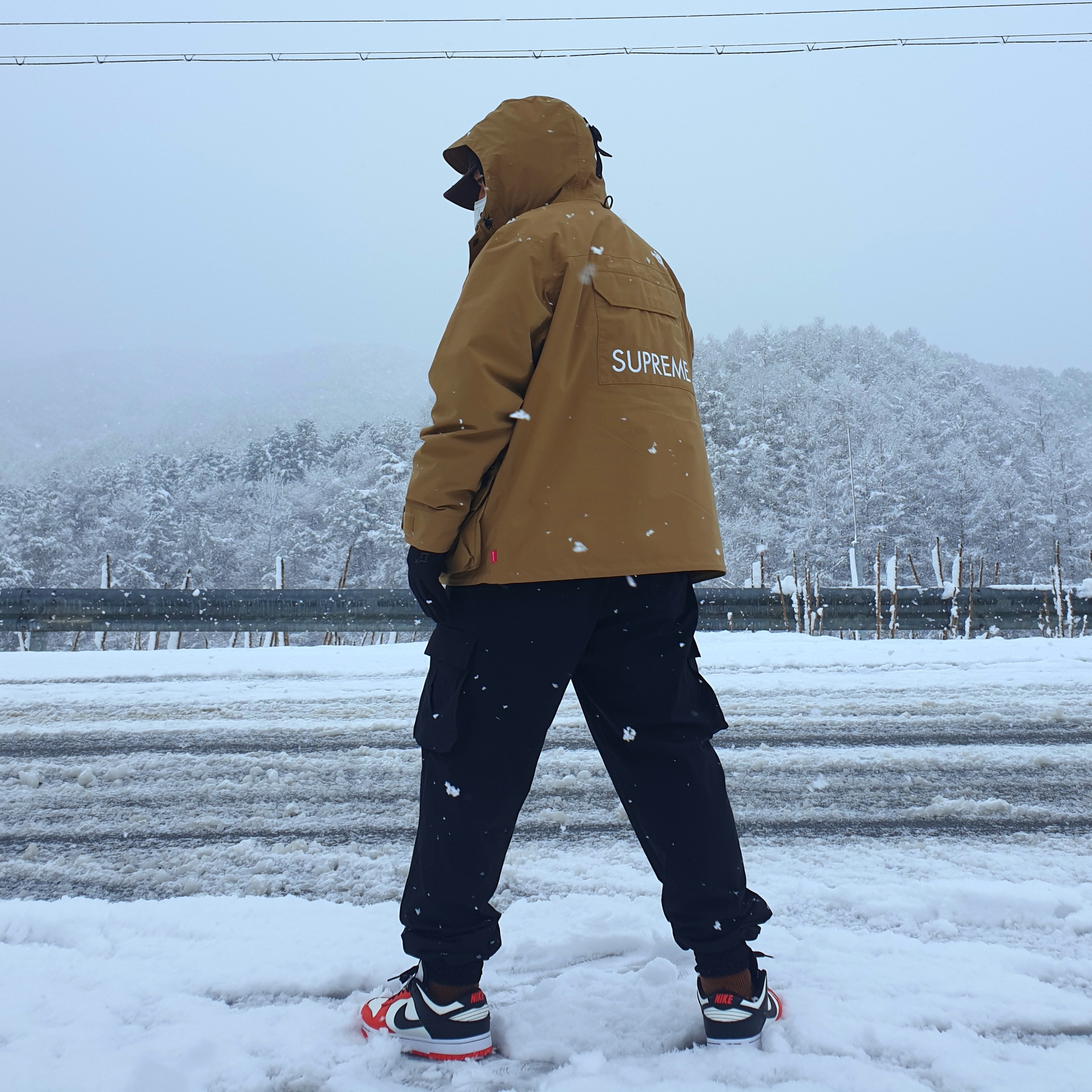 Nike x NBA Dunk Low Retro EMB Black and Chile Red, Supreme x The North Face Cargo Jacket Gold - 20SS 착용 스타일