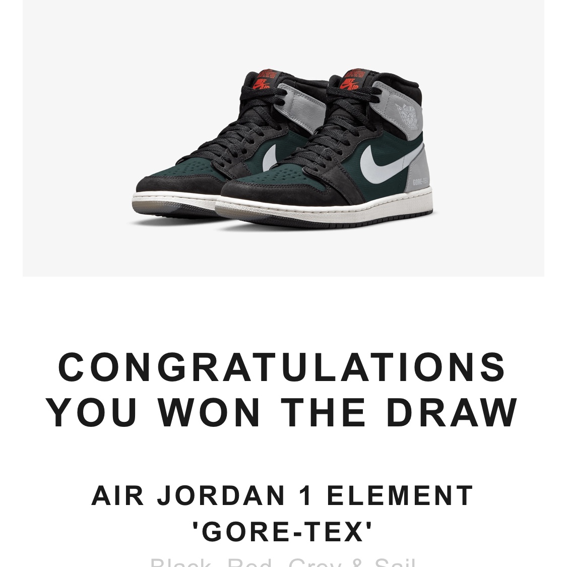 Nike Dunk Low Retro Black, Jordan 1 Element Gore-Tex Particle Grey 착용 스타일 - 2