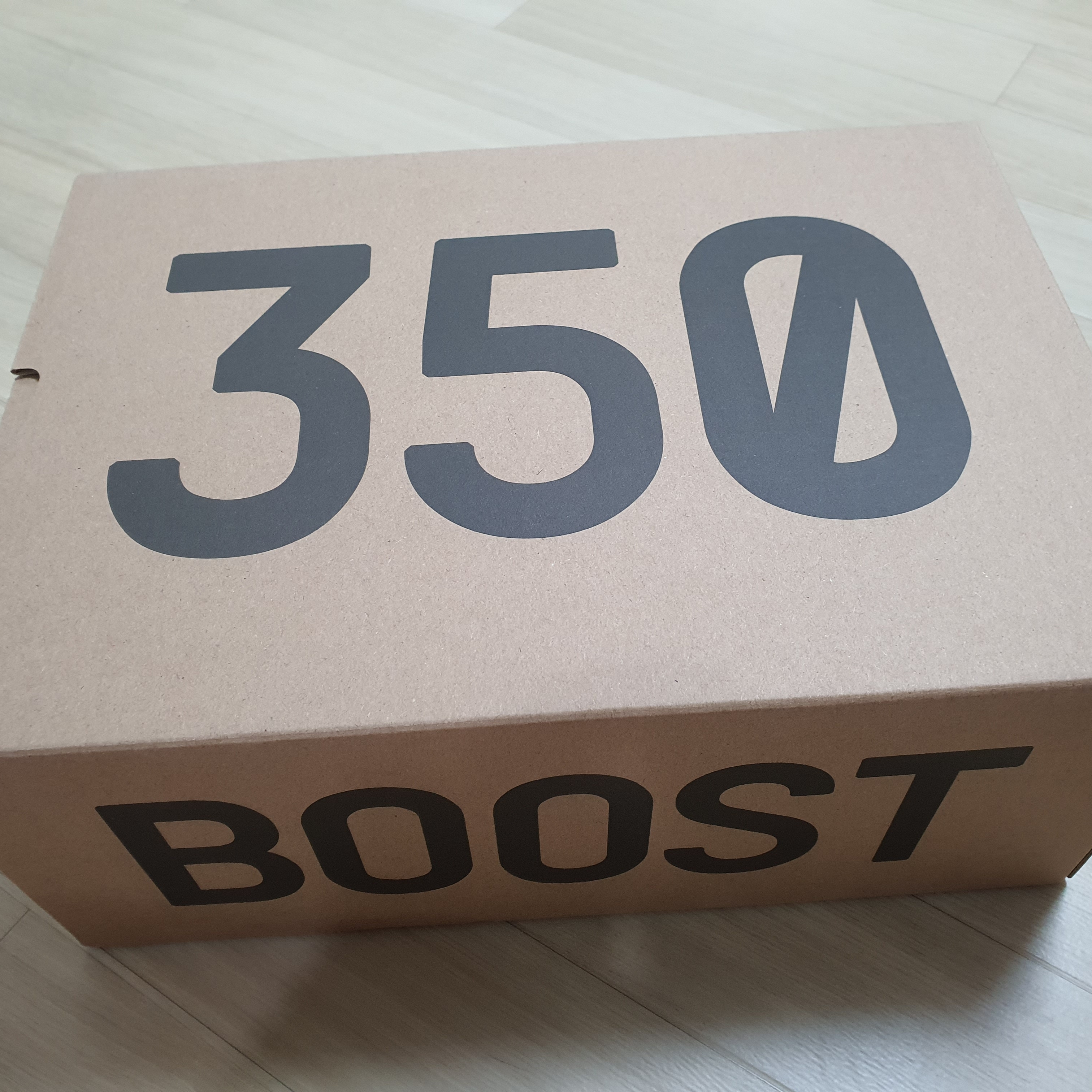 Adidas Yeezy Boost 350 V2 Beluga - Reflective 착용 스타일 - 2