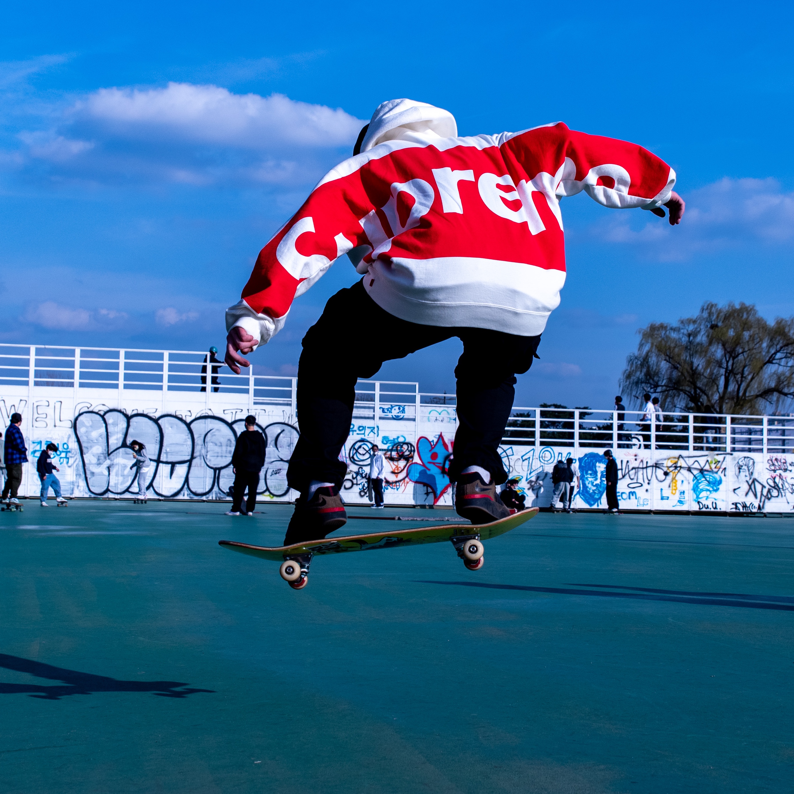 Supreme Big Logo Hooded Sweatshirt White - 21SS, Nike SB Ishod Wair Light Olive 착용 스타일