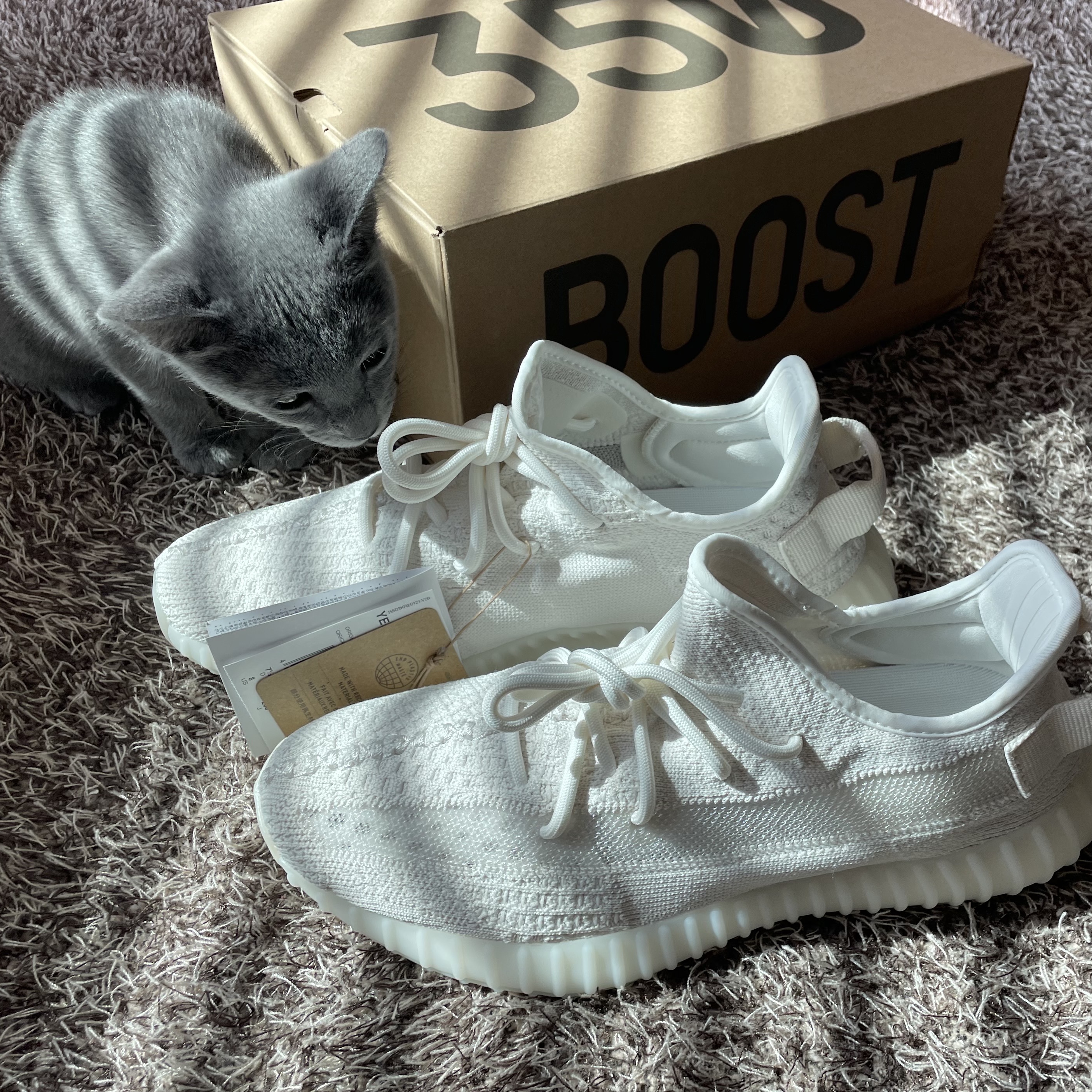 Adidas Yeezy Boost 350 V2 Bone 착용 스타일 - 1