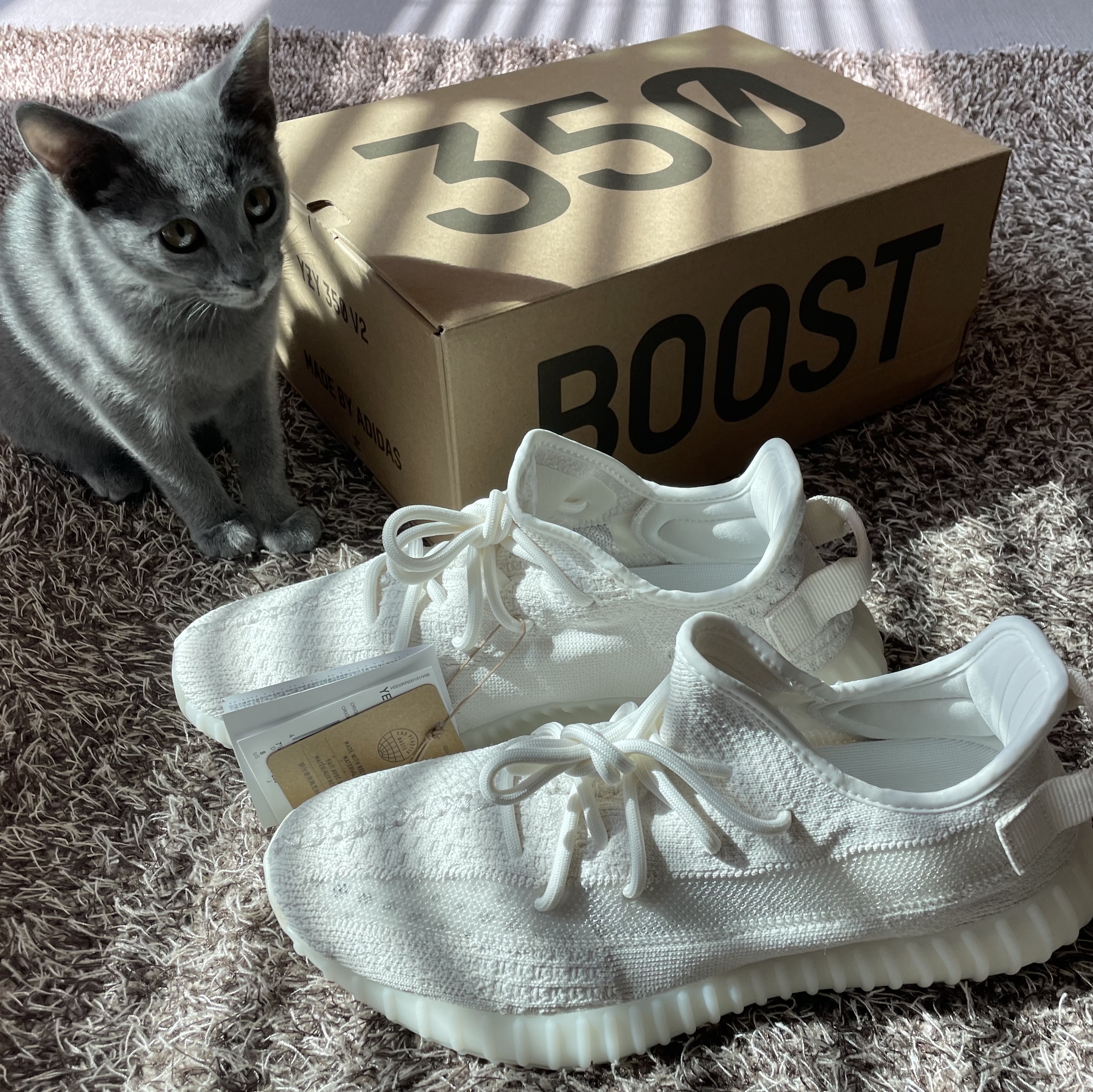 Adidas Yeezy Boost 350 V2 Bone 착용 스타일 - 2
