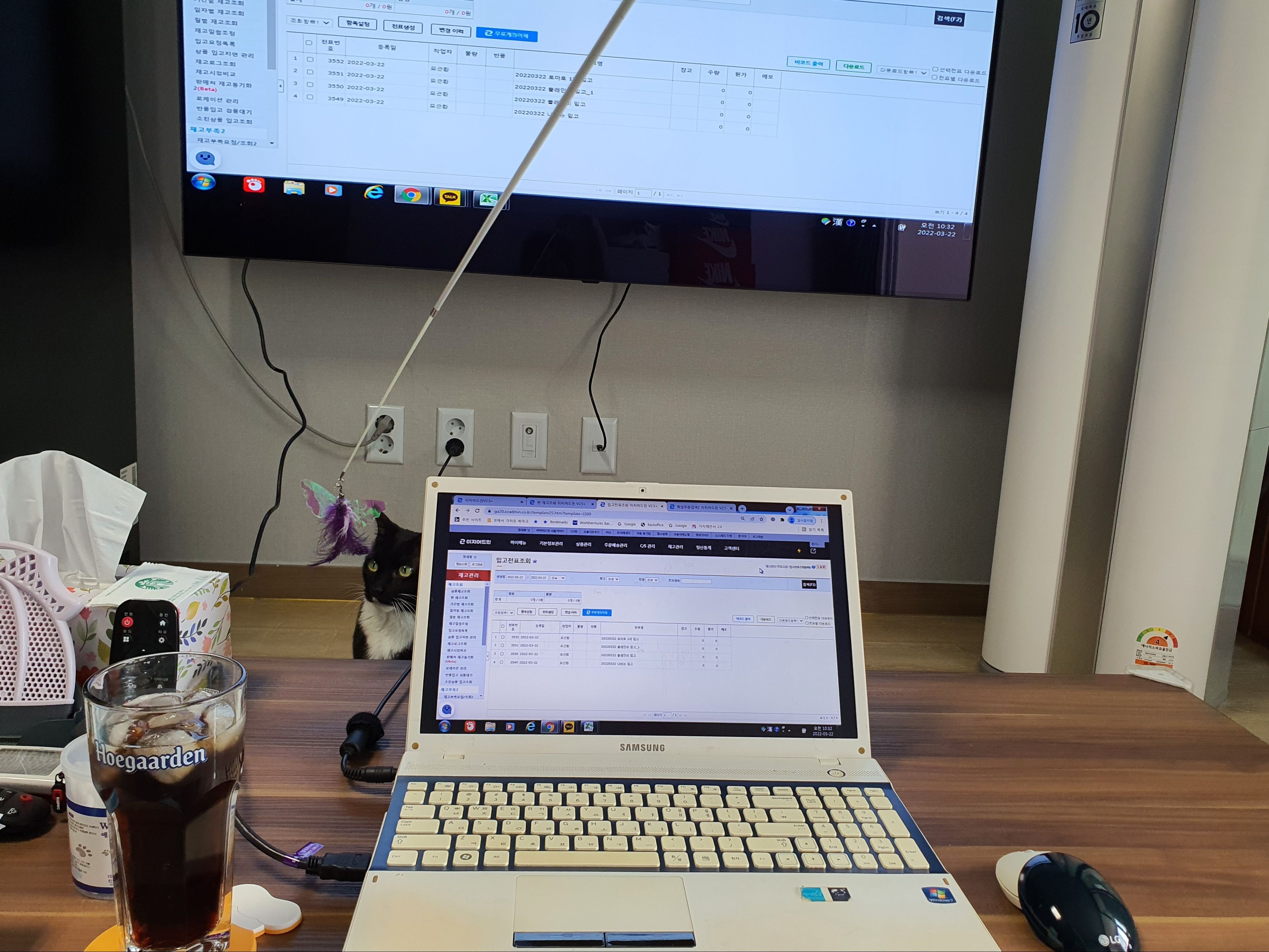 고먐미 피드 찾아다니는 닝겐님의 스타일 - 3