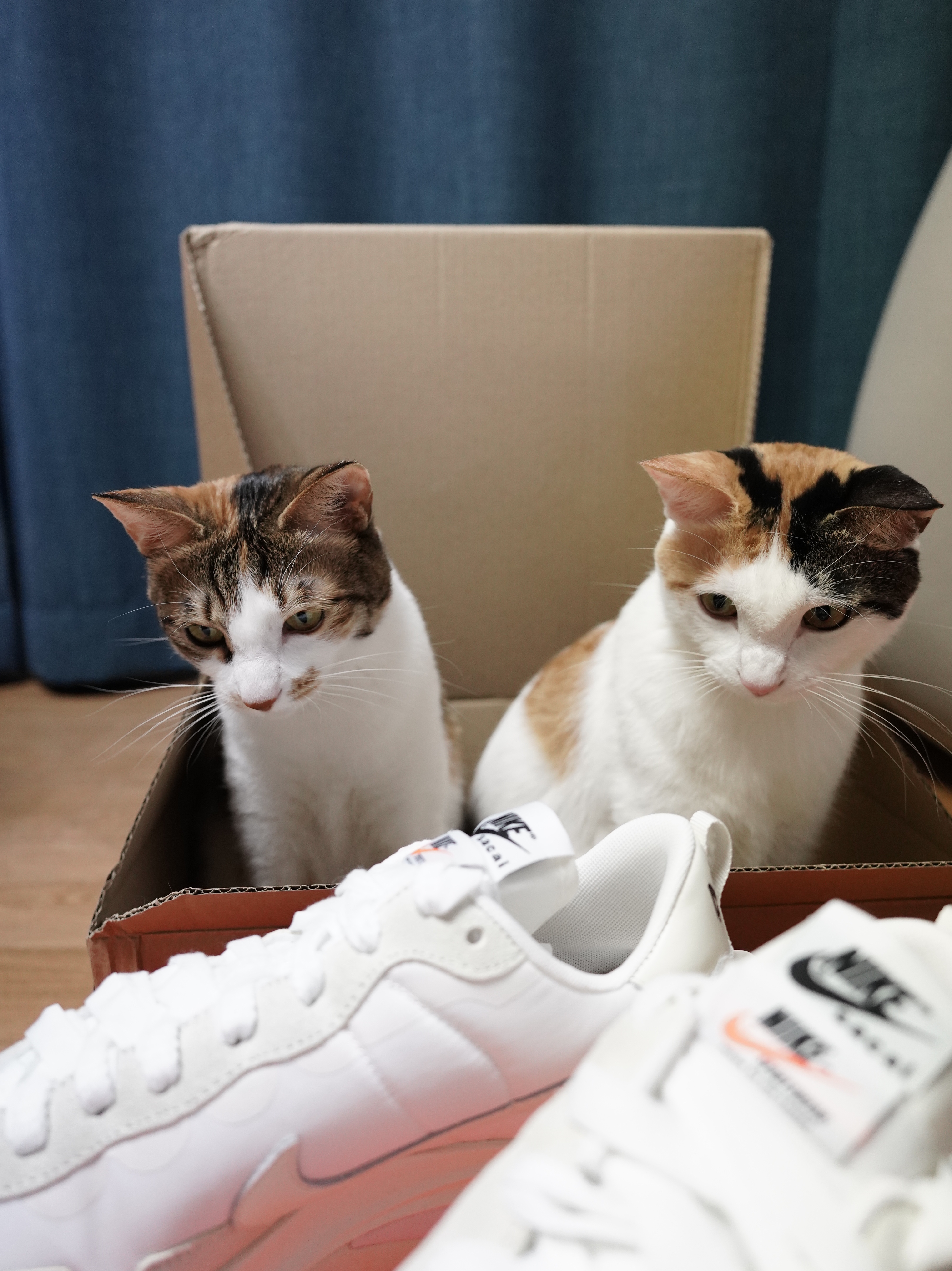 Nike x Sacai VaporWaffle White and Gum 착용 스타일 - 1