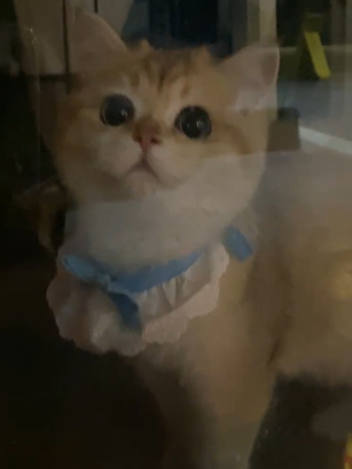 간지돌이님의 스타일