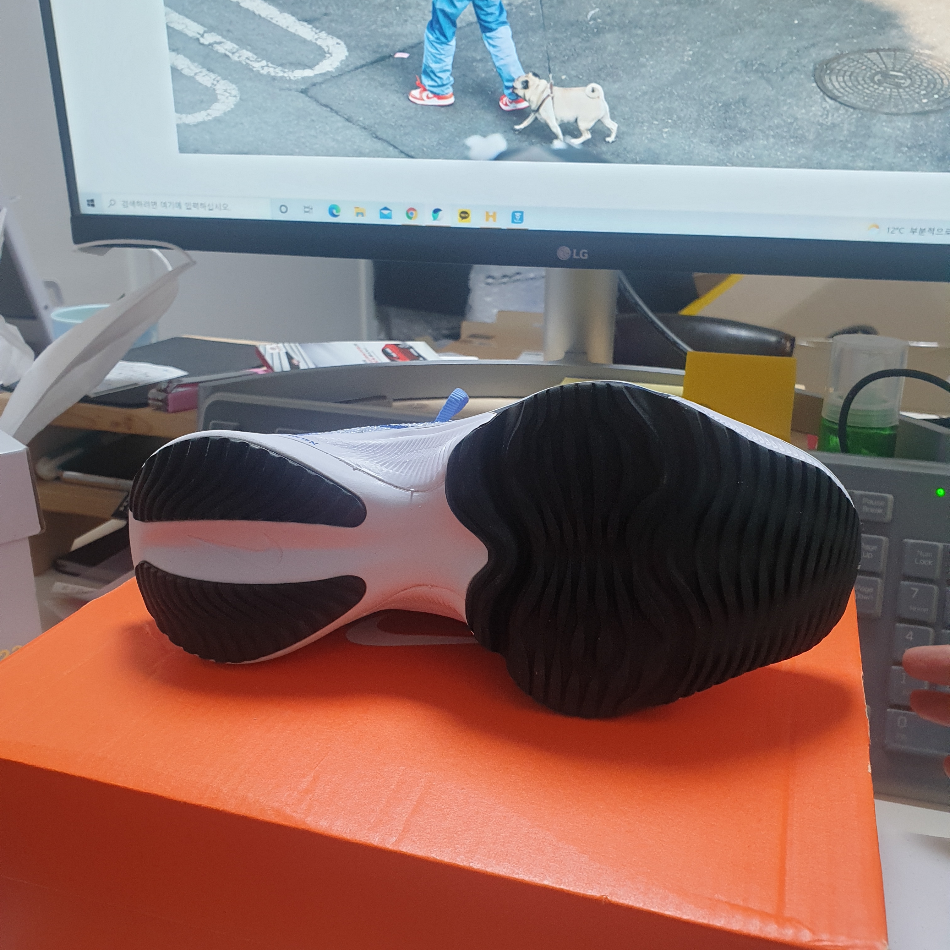 (W) Nike Air Zoom Tempo Next% Flyknit Royal Pulse 착용 스타일 - 3