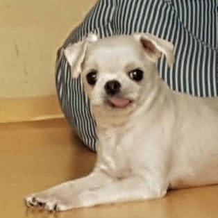 박승규님의 스타일 - 2