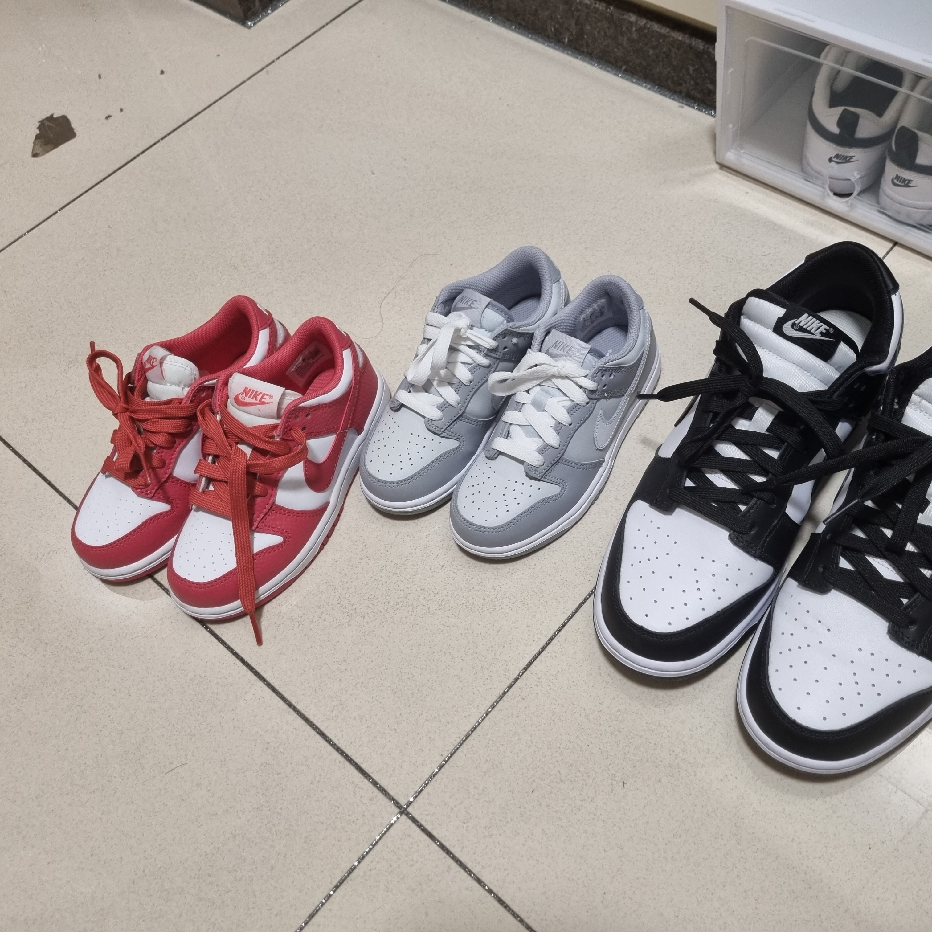 (PS) Nike Dunk Low Archeo Pink 착용 스타일