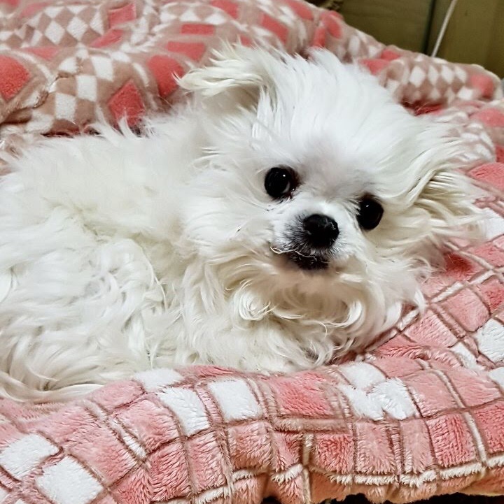 박승규님의 스타일 - 4