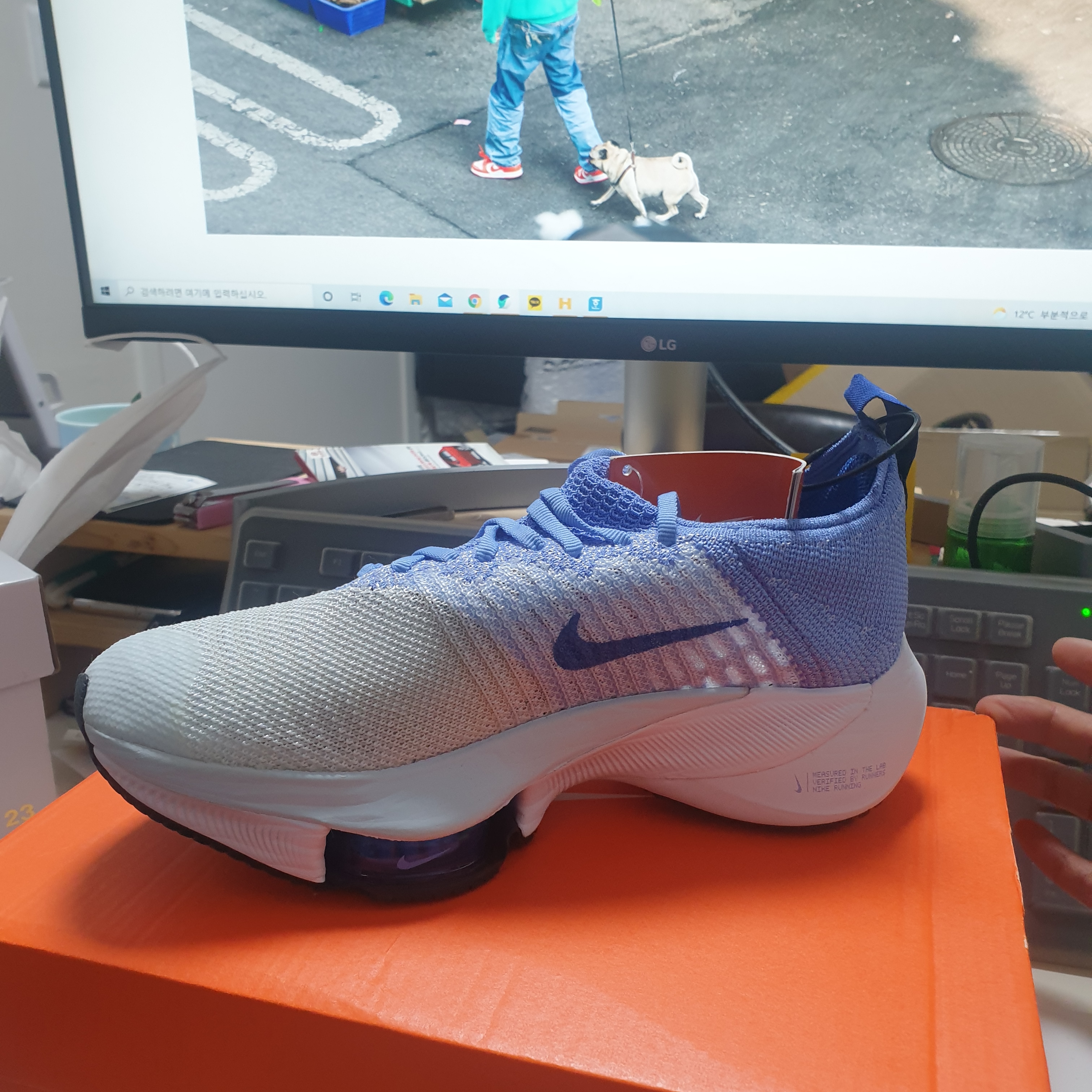 (W) Nike Air Zoom Tempo Next% Flyknit Royal Pulse 착용 스타일 - 2