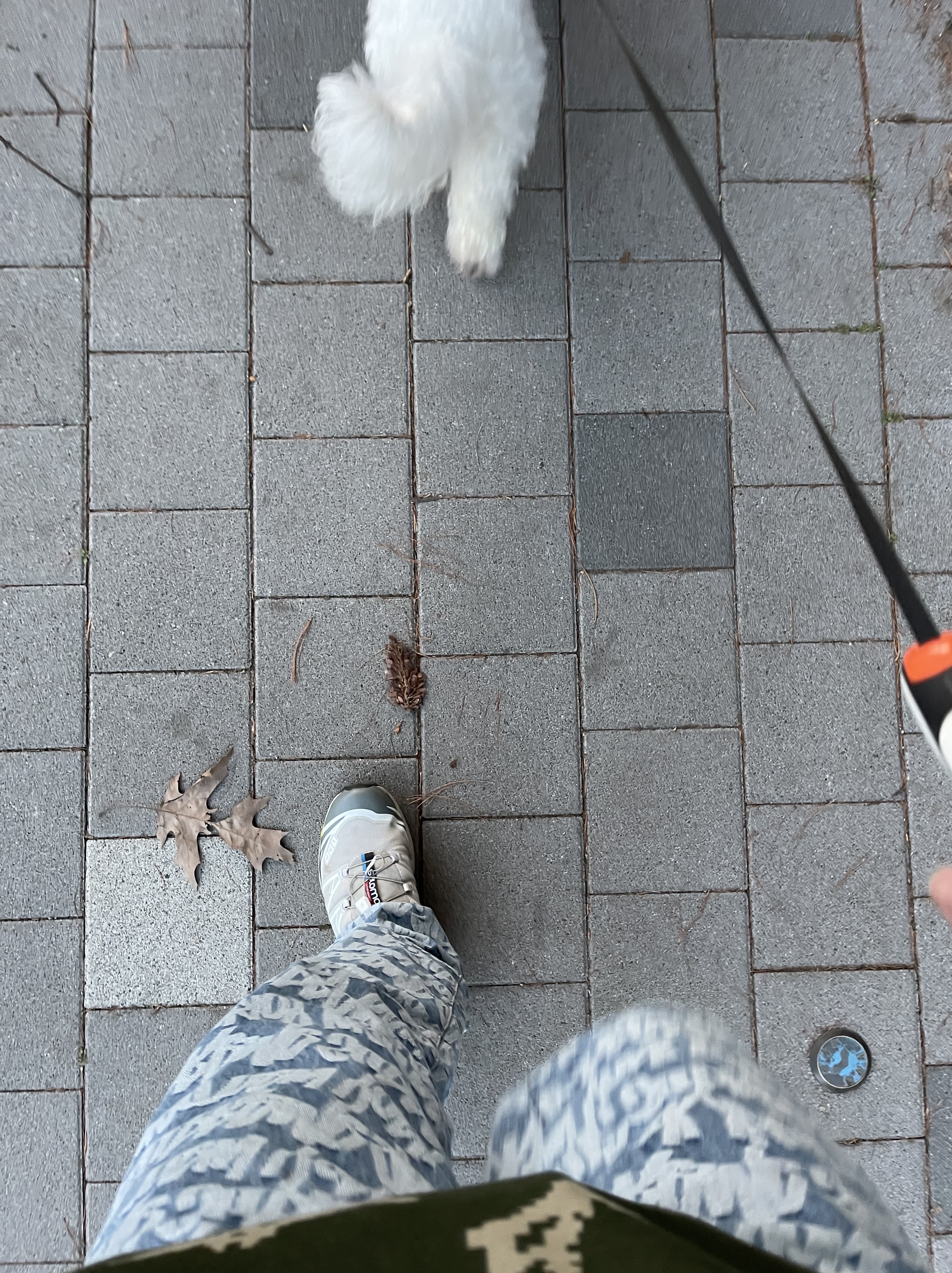 Supreme Fat Tip Jacquard Regular Jean Blue - 22SS, Supreme Box Logo Hooded Sweatshirt Olive Russian Camo - 21FW 착용 스타일 - 2