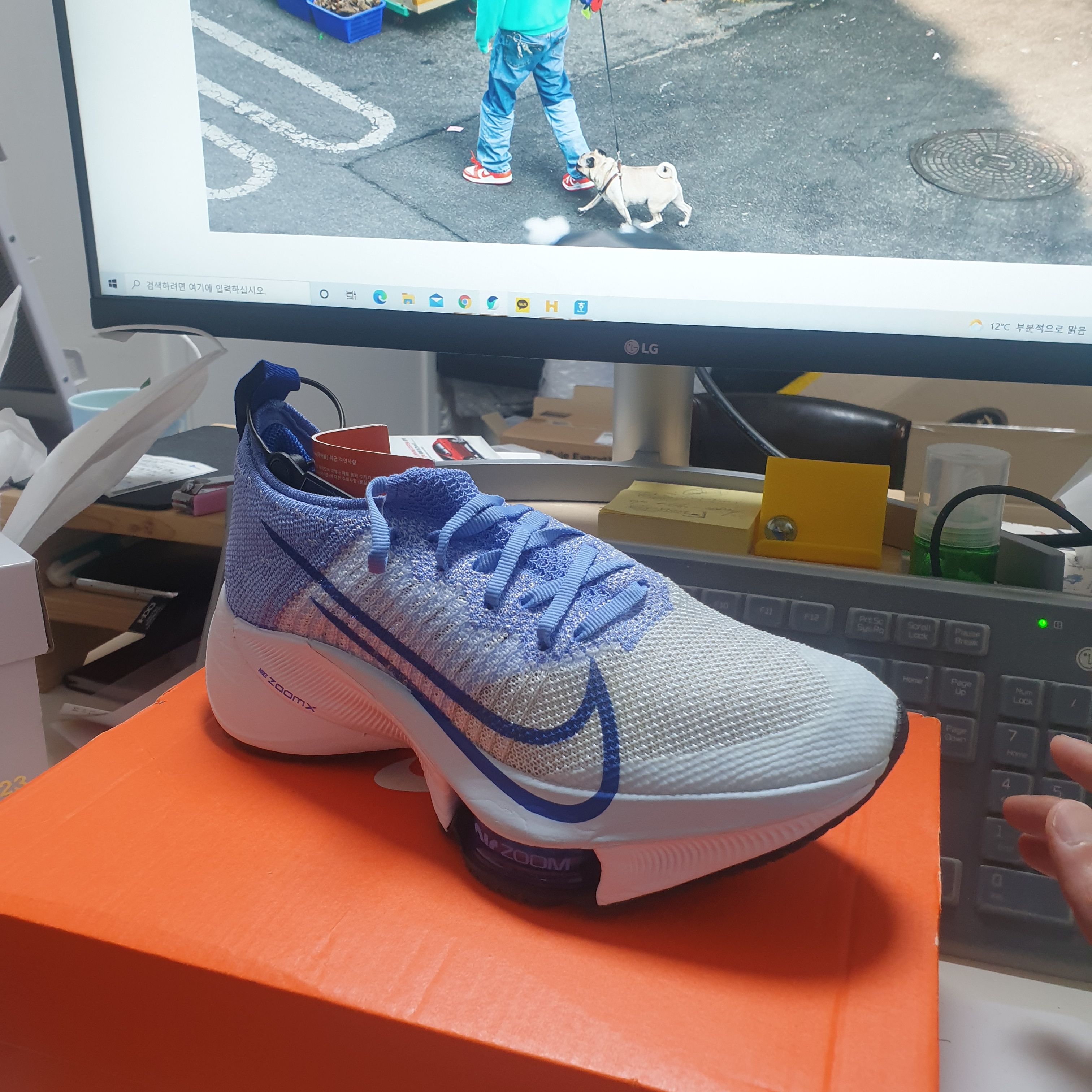 (W) Nike Air Zoom Tempo Next% Flyknit Royal Pulse 착용 스타일 - 1