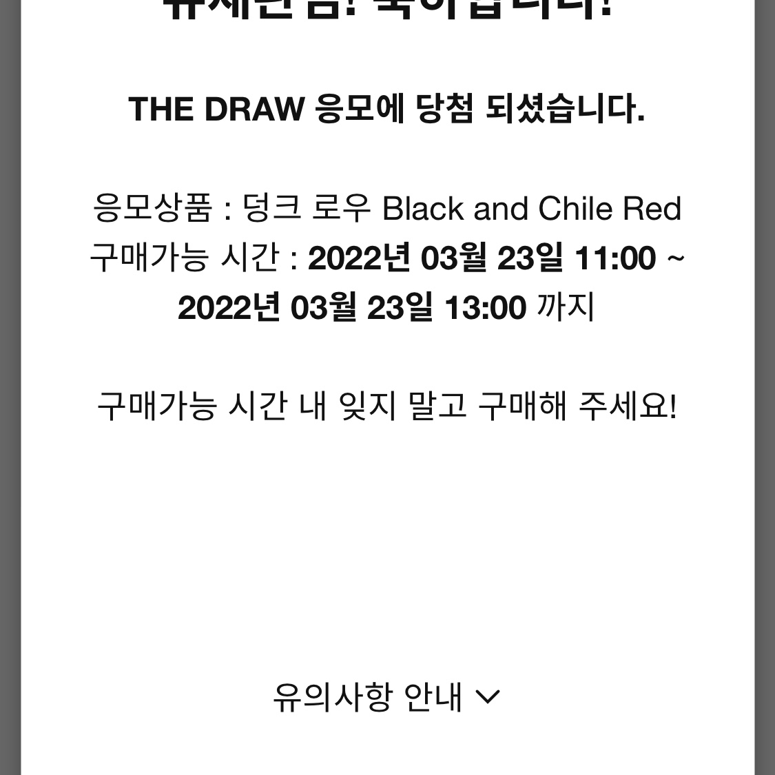 Nike x NBA Dunk Low Retro EMB Black and Chile Red 착용 스타일 - 3