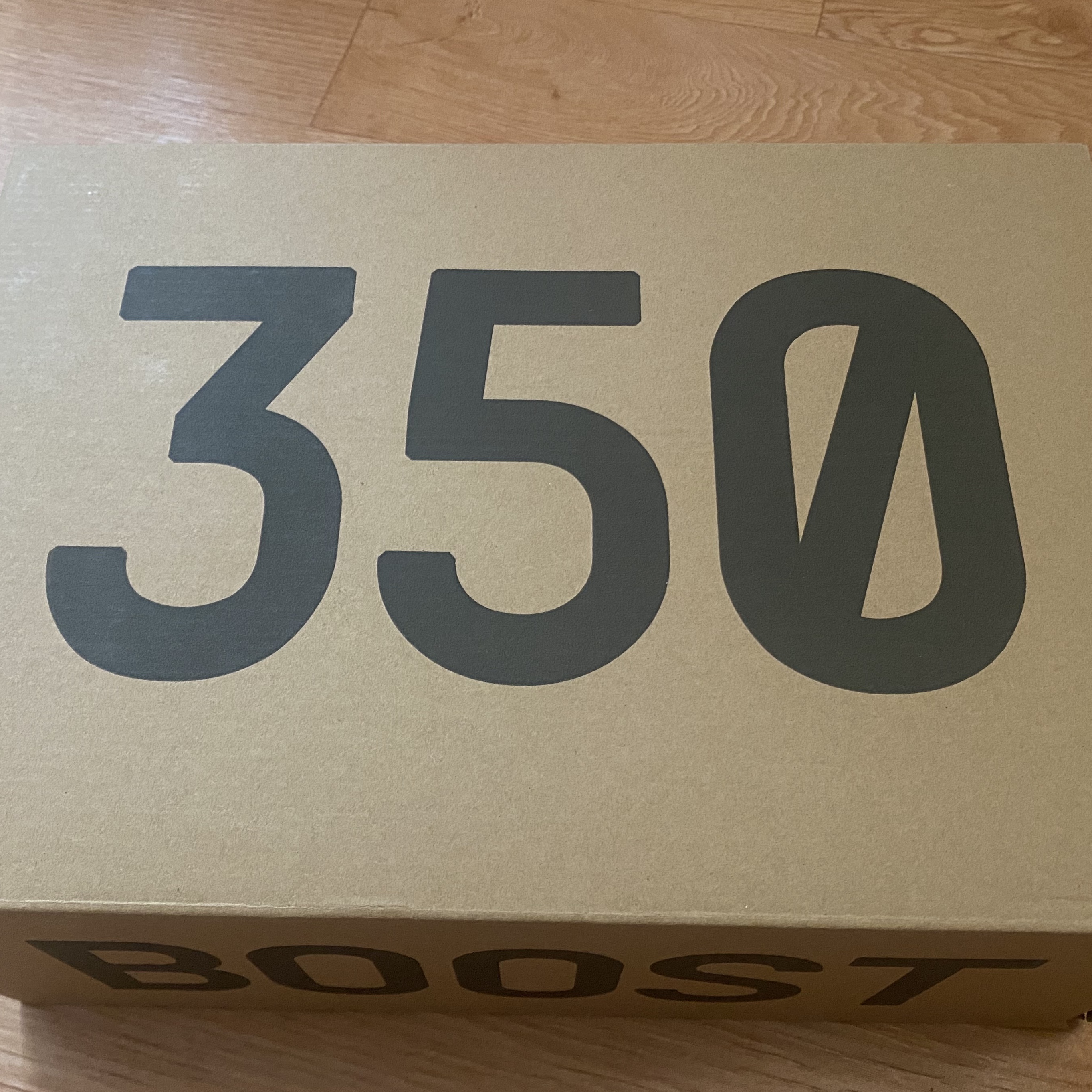 Adidas Yeezy Boost 350 V2 Dazzling Blue 착용 스타일 - 1