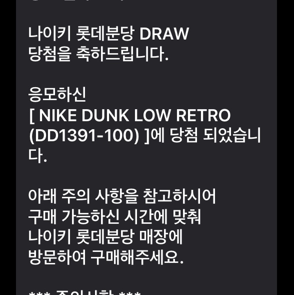 Nike Dunk Low Retro Black 착용 스타일