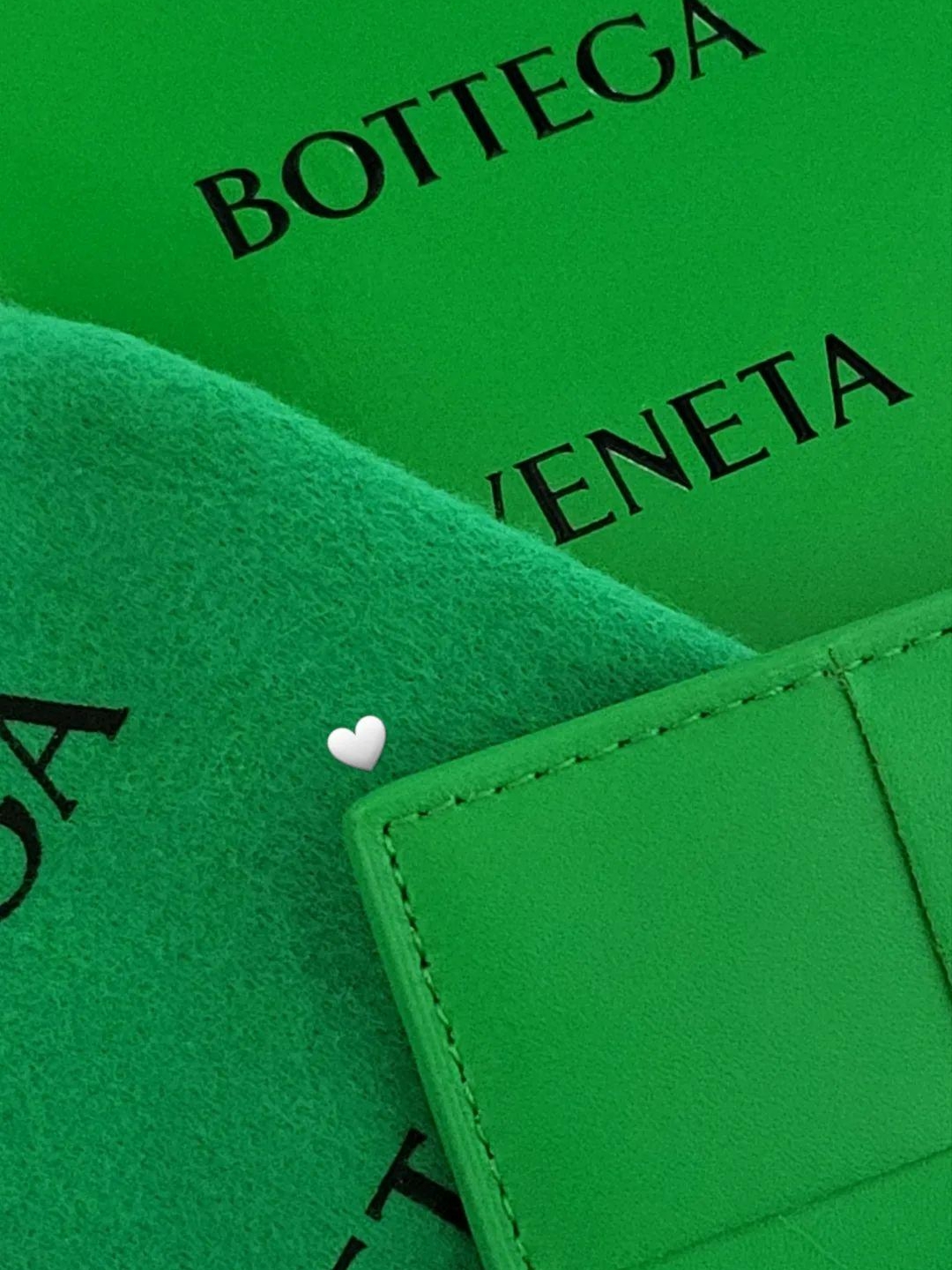 Bottega Veneta Credit Card Case Calfskin Parakeet 착용 스타일