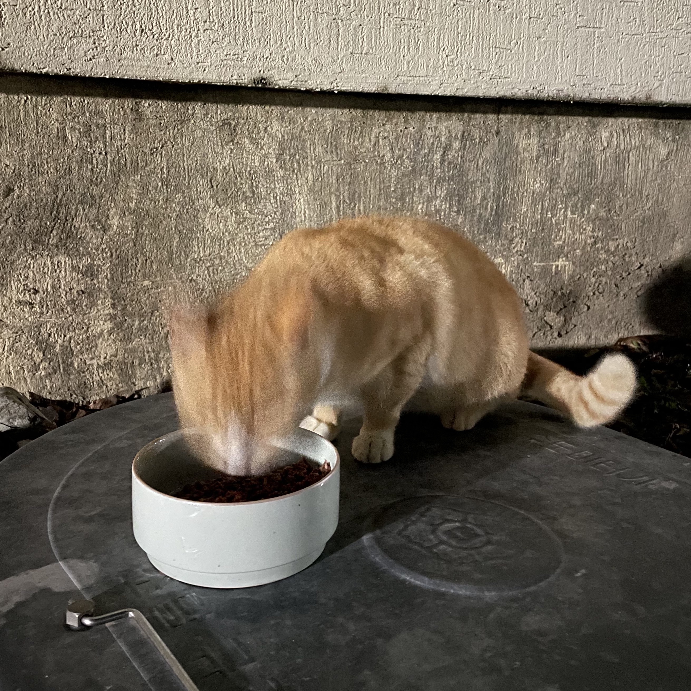 실버컴퍼니님의 스타일 - 3