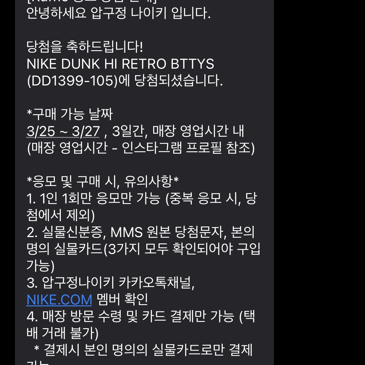 Nike Dunk High Retro Championship White 착용 스타일 - 1