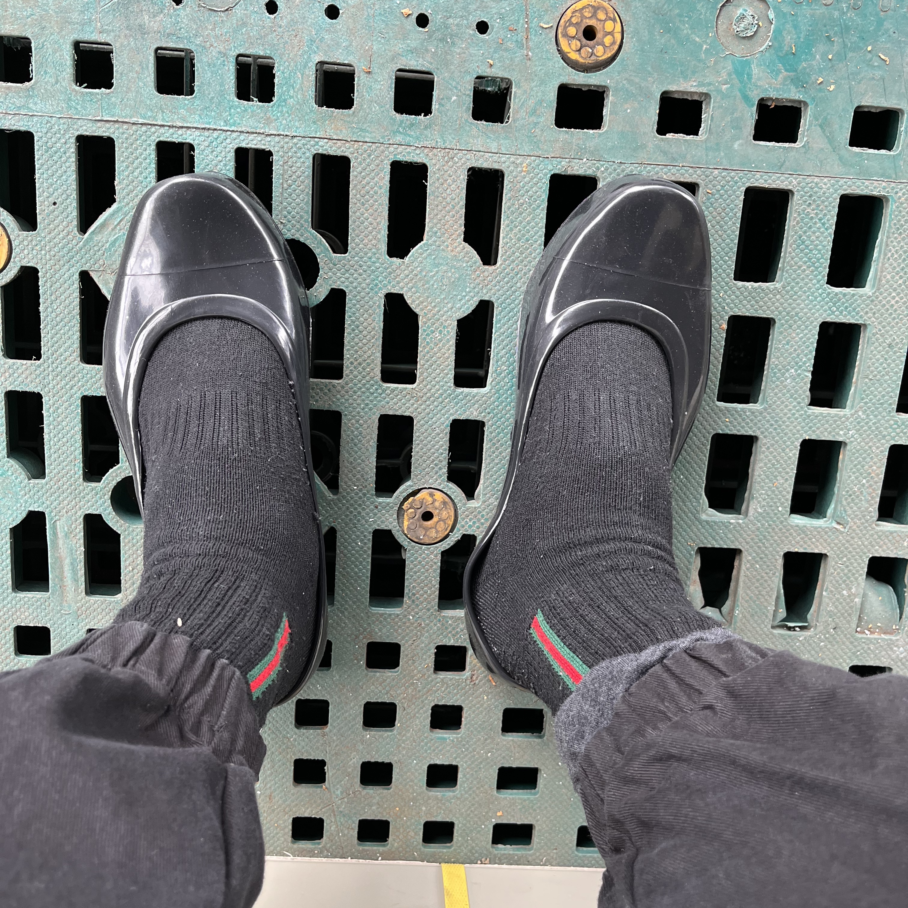 Nike Dunk Low Retro Black 착용 스타일