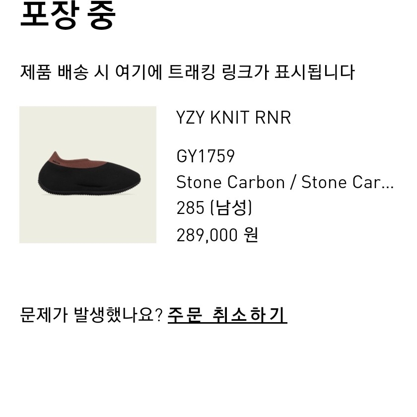 Adidas Yeezy Knit RNR Stone Carbon 착용 스타일