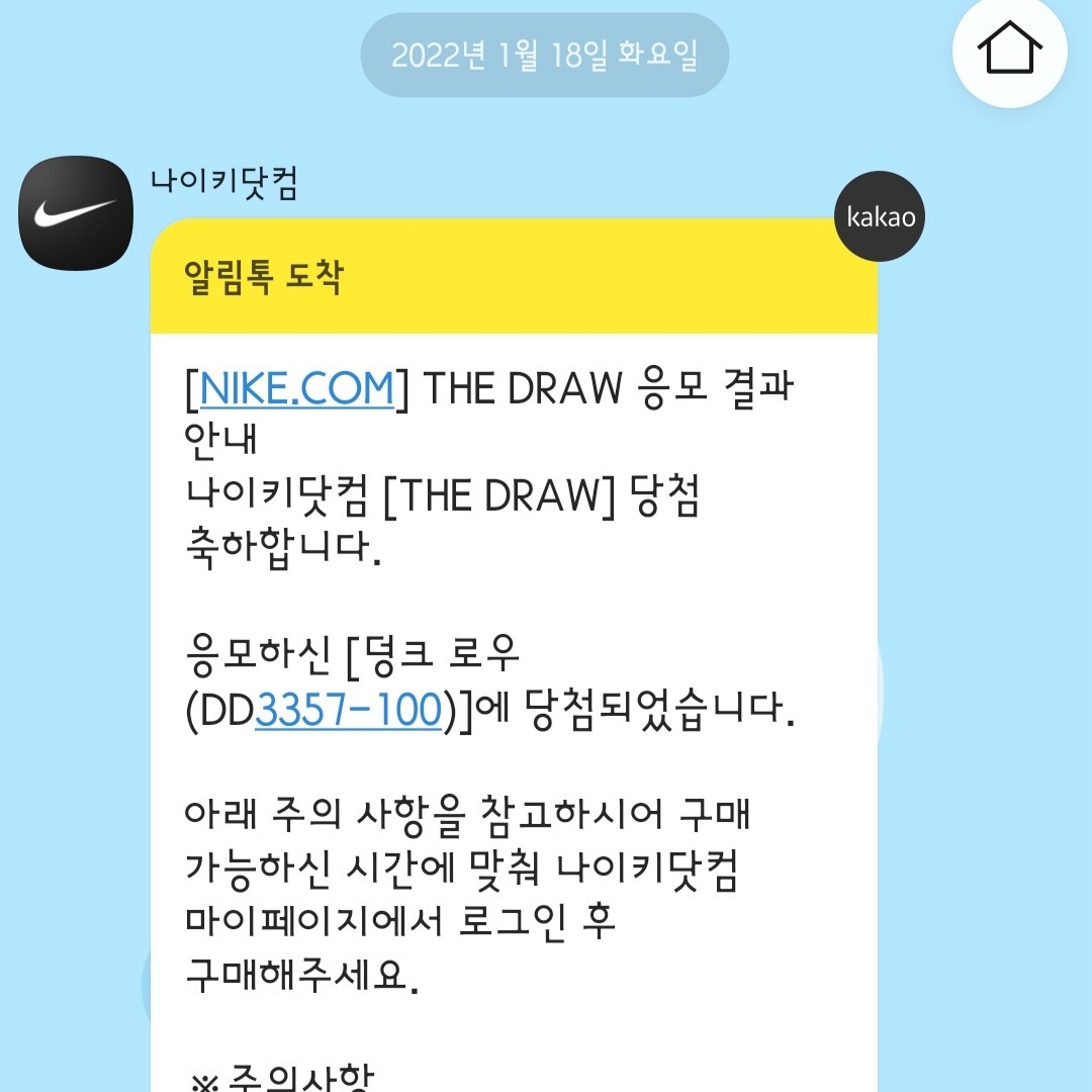 Nike Dunk Low Retro PRM Halloween 착용 스타일 - 2
