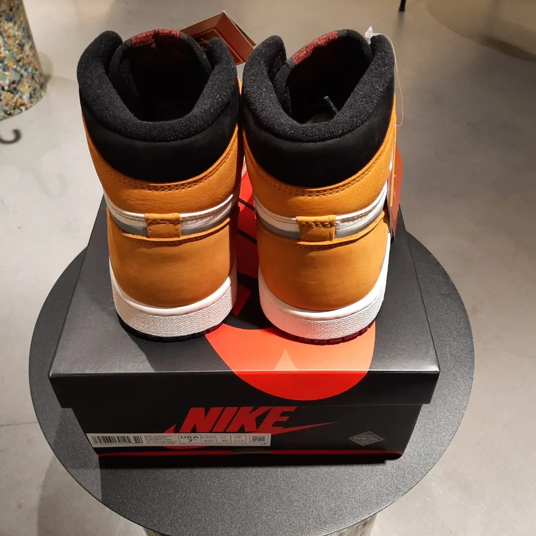Jordan 1 Element Gore-Tex Light Curry 착용 스타일 - 4