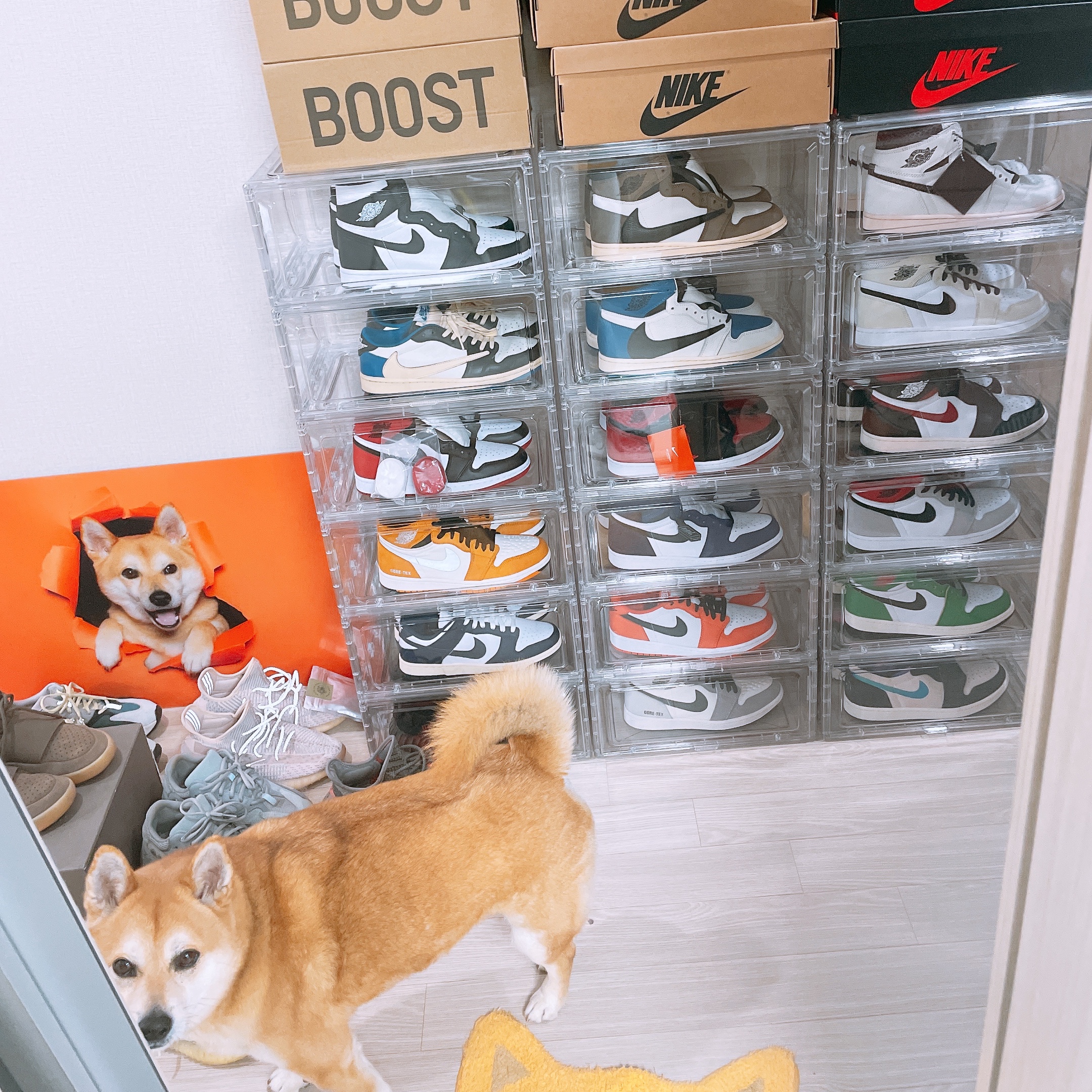Jordan 1 Element Gore-Tex Light Curry 착용 스타일