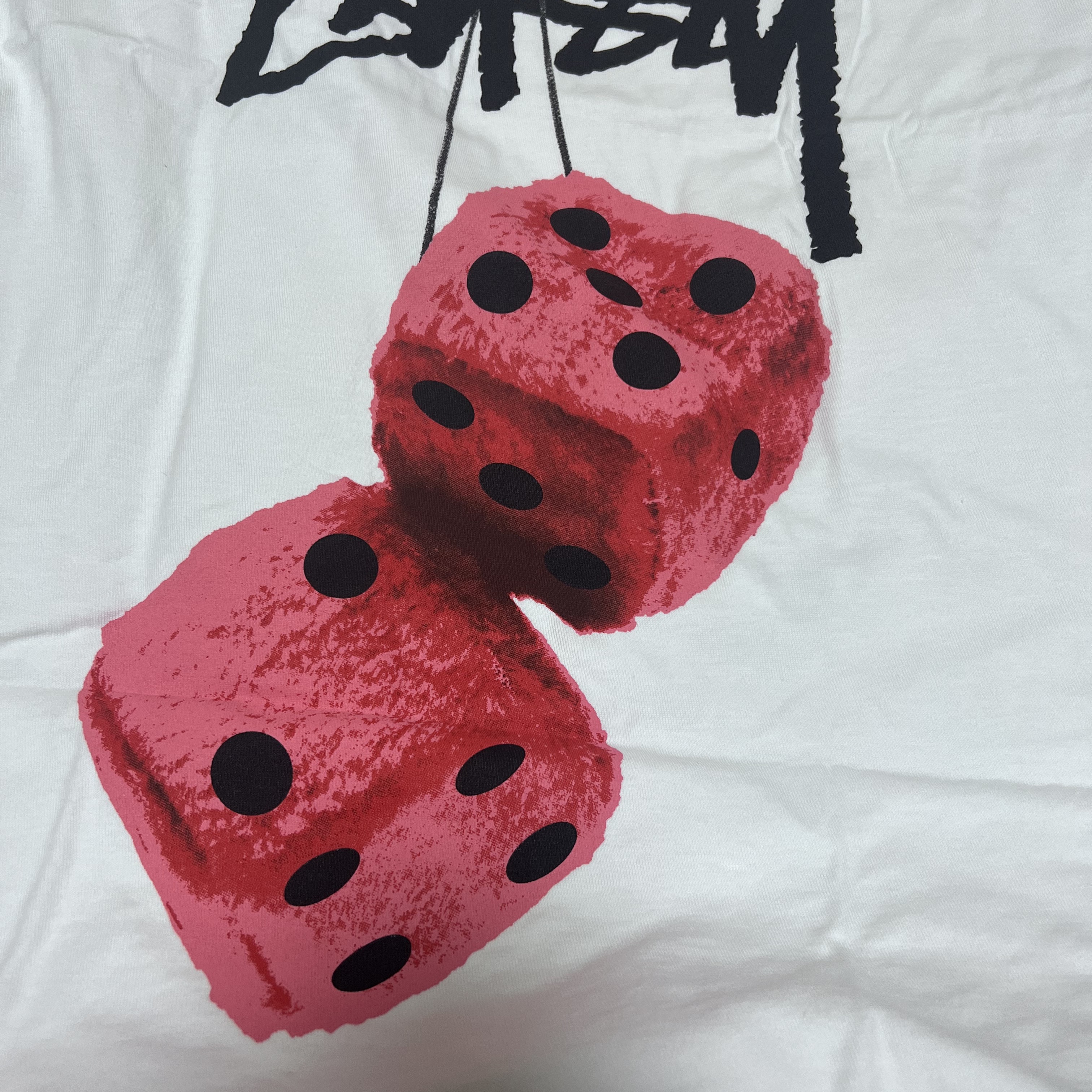 Stussy Fuzzy Dice T-Shirt Black, Stussy Fuzzy Dice T-Shirt White 착용 스타일 - 2