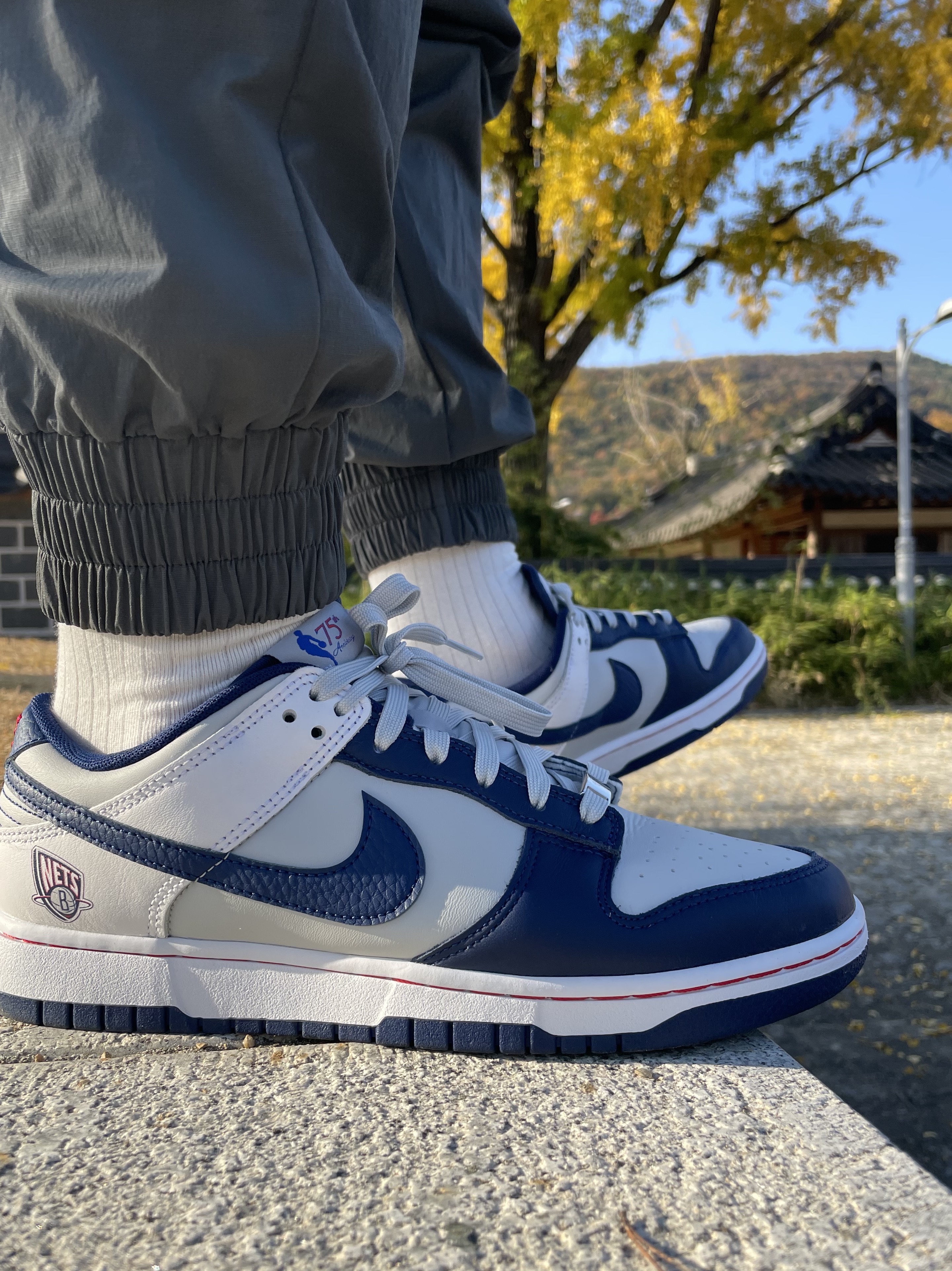 Nike x NBA Dunk Low Retro EMB Black and Chile Red, Nike x NBA Dunk Low Retro EMB Nets 착용 스타일 - 2