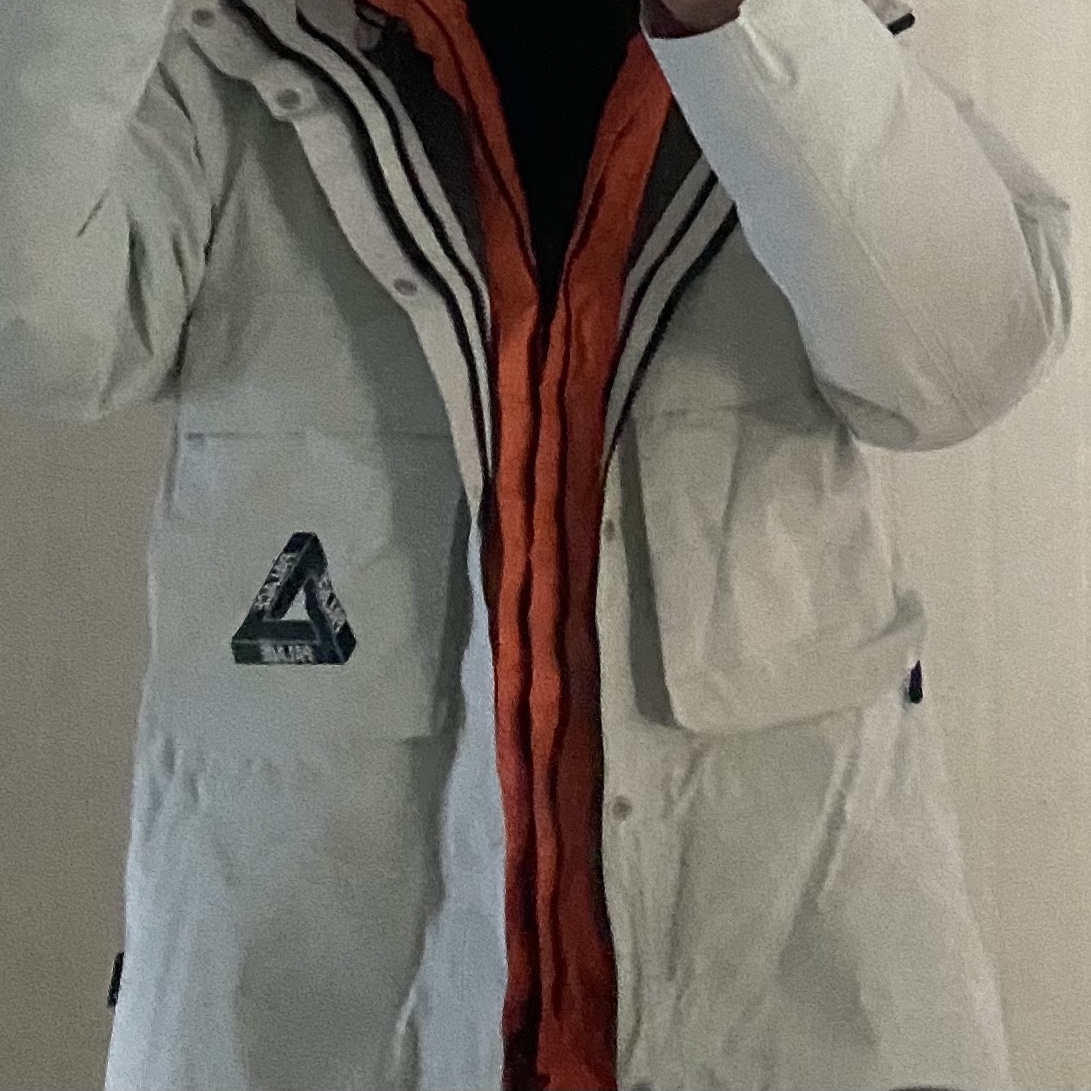 Palace Optical 2-In-1 Gore-Tex Parka Ice - 20FW 착용 스타일