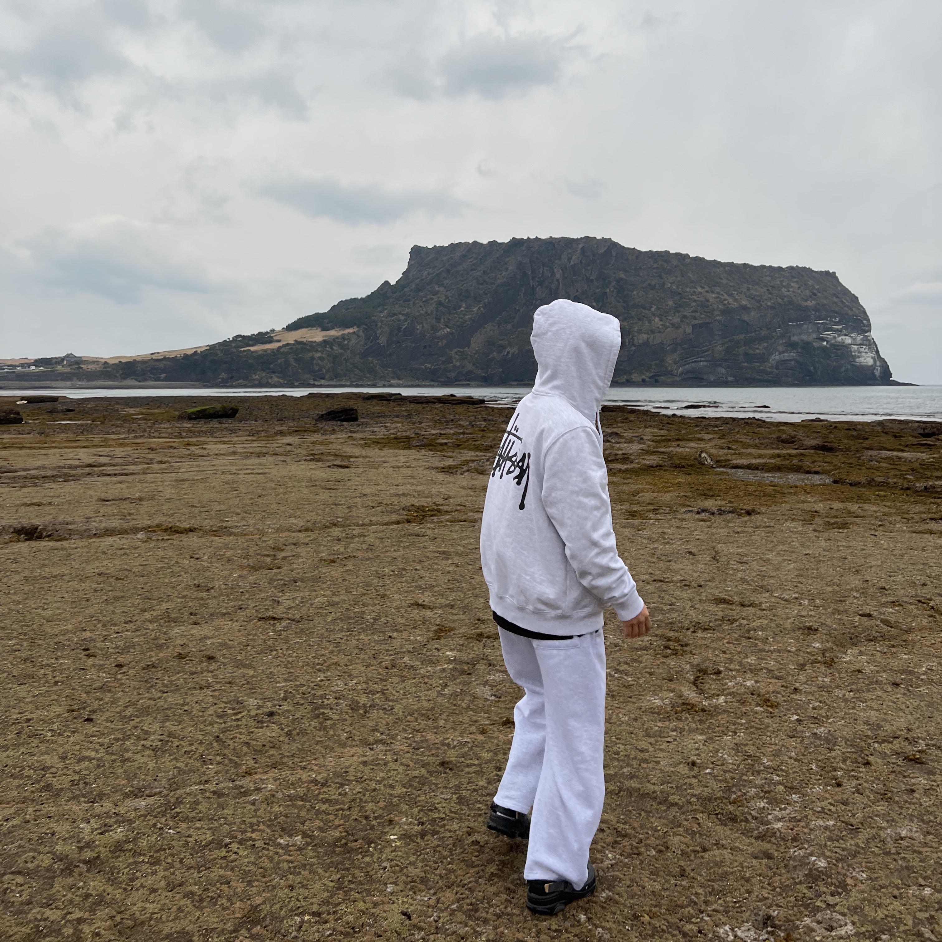 Stussy Basic Stussy Hoodie Ash Heather 2021 착용 스타일