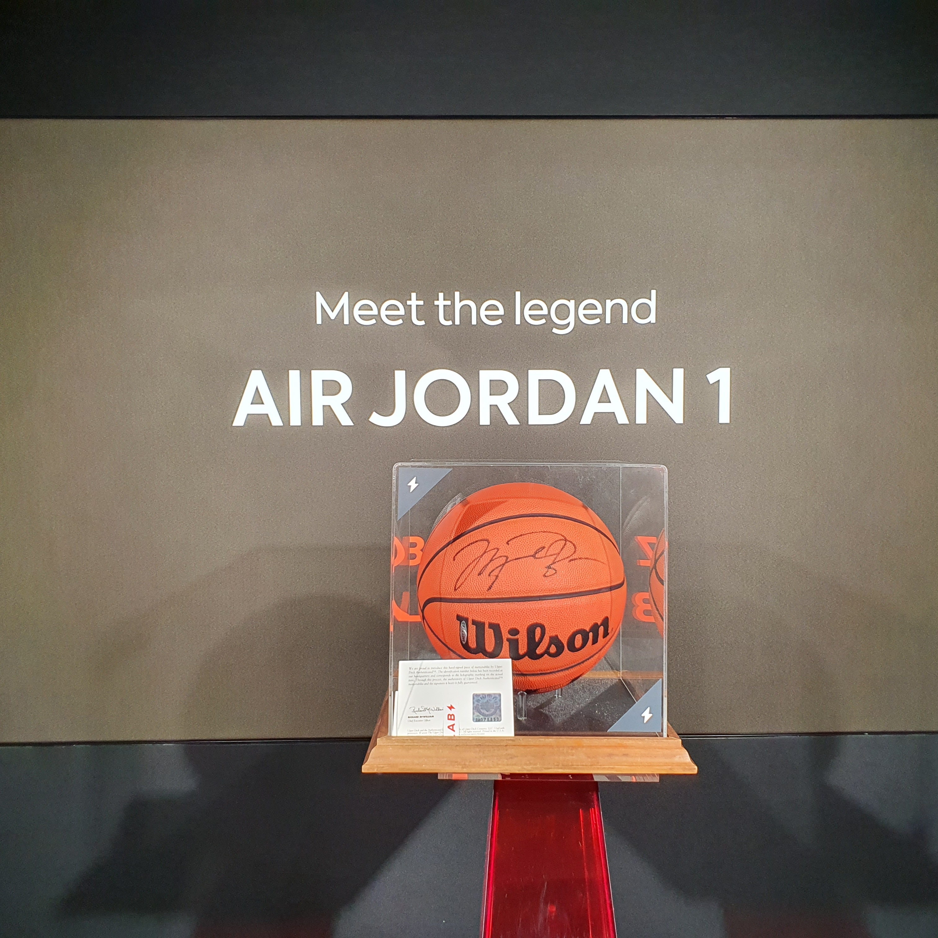 Jordan 1 x Dior High OG 착용 스타일