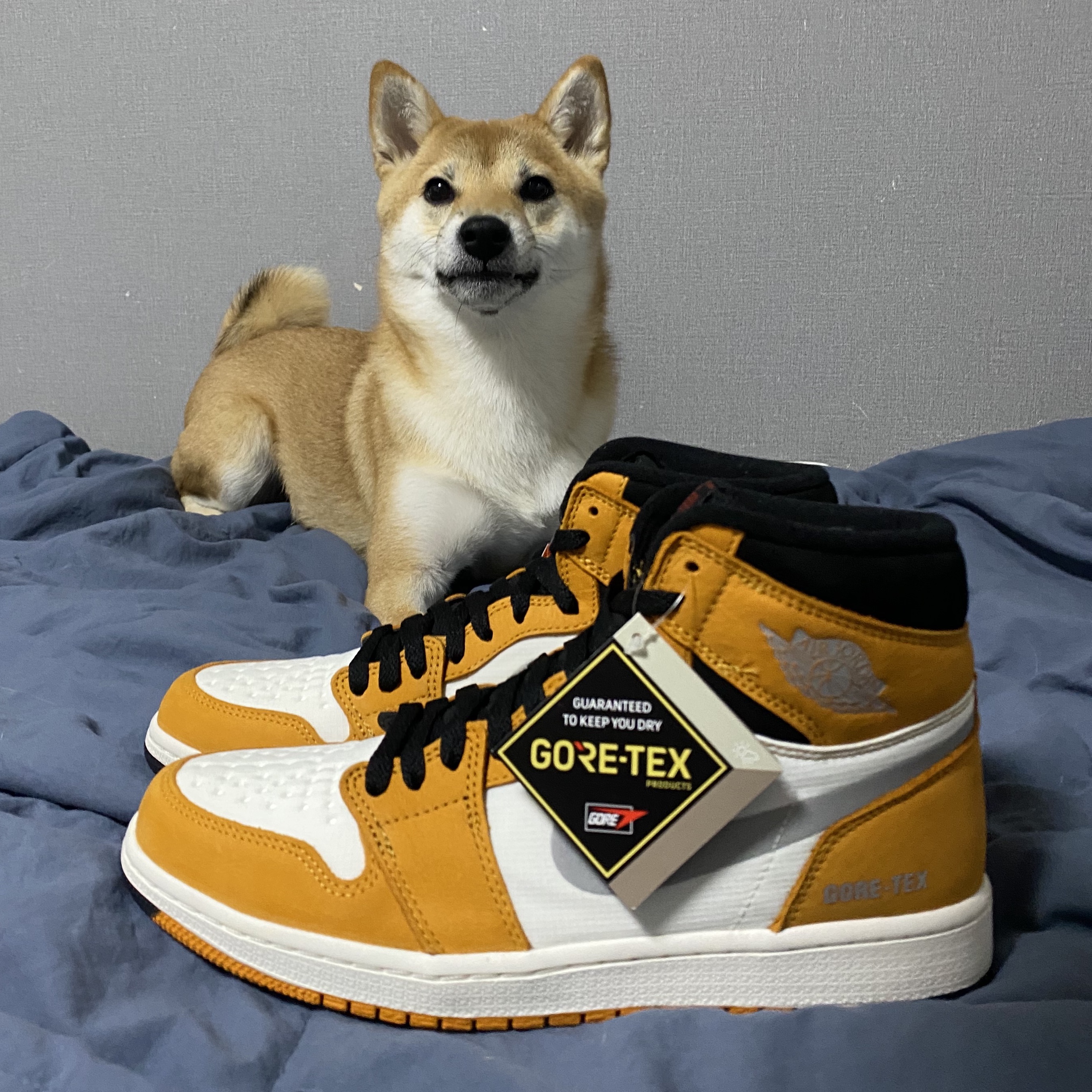 Jordan 1 Element Gore-Tex Light Curry 착용 스타일 - 1