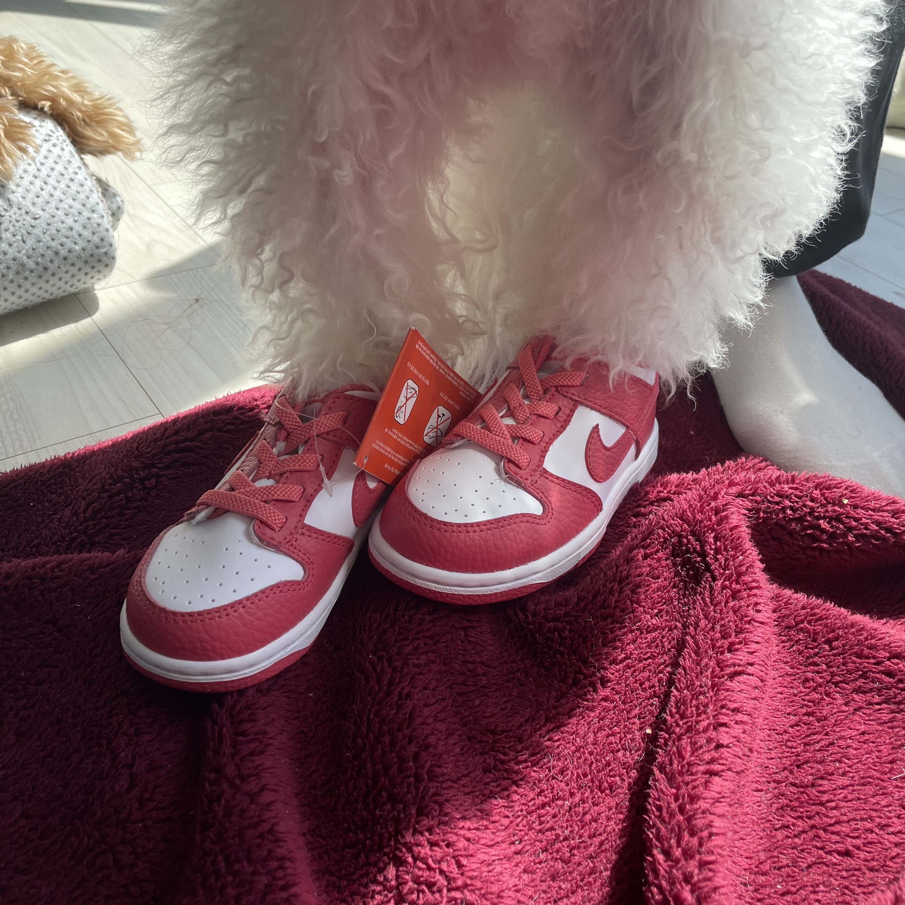 (TD) Nike Dunk Low Archeo Pink 착용 스타일 - 3