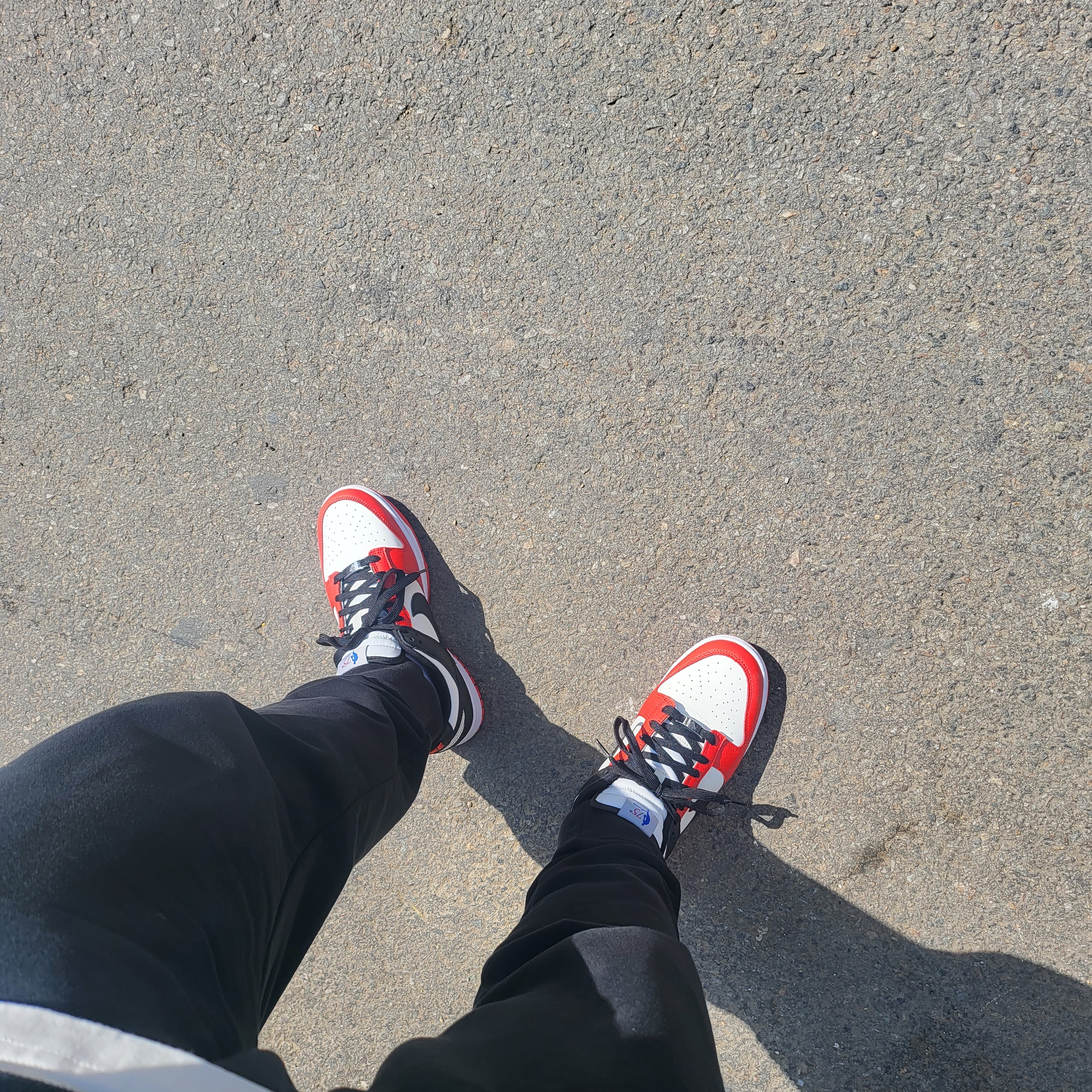 Nike x NBA Dunk Low Retro EMB Black and Chile Red 착용 스타일
