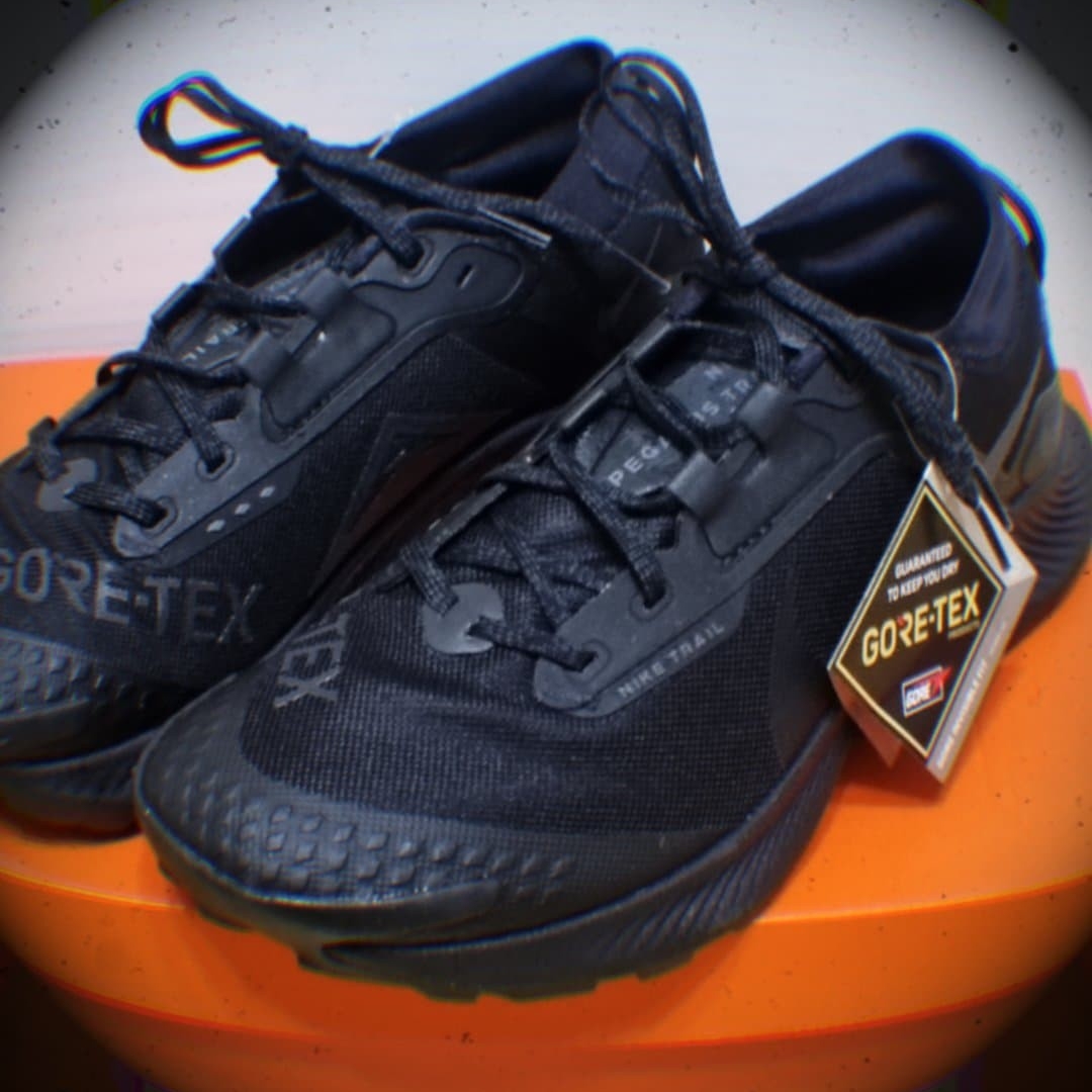 Nike Pegasus Trail 3 Gore-Tex Black Dark Smoke Grey 착용 스타일 - 3