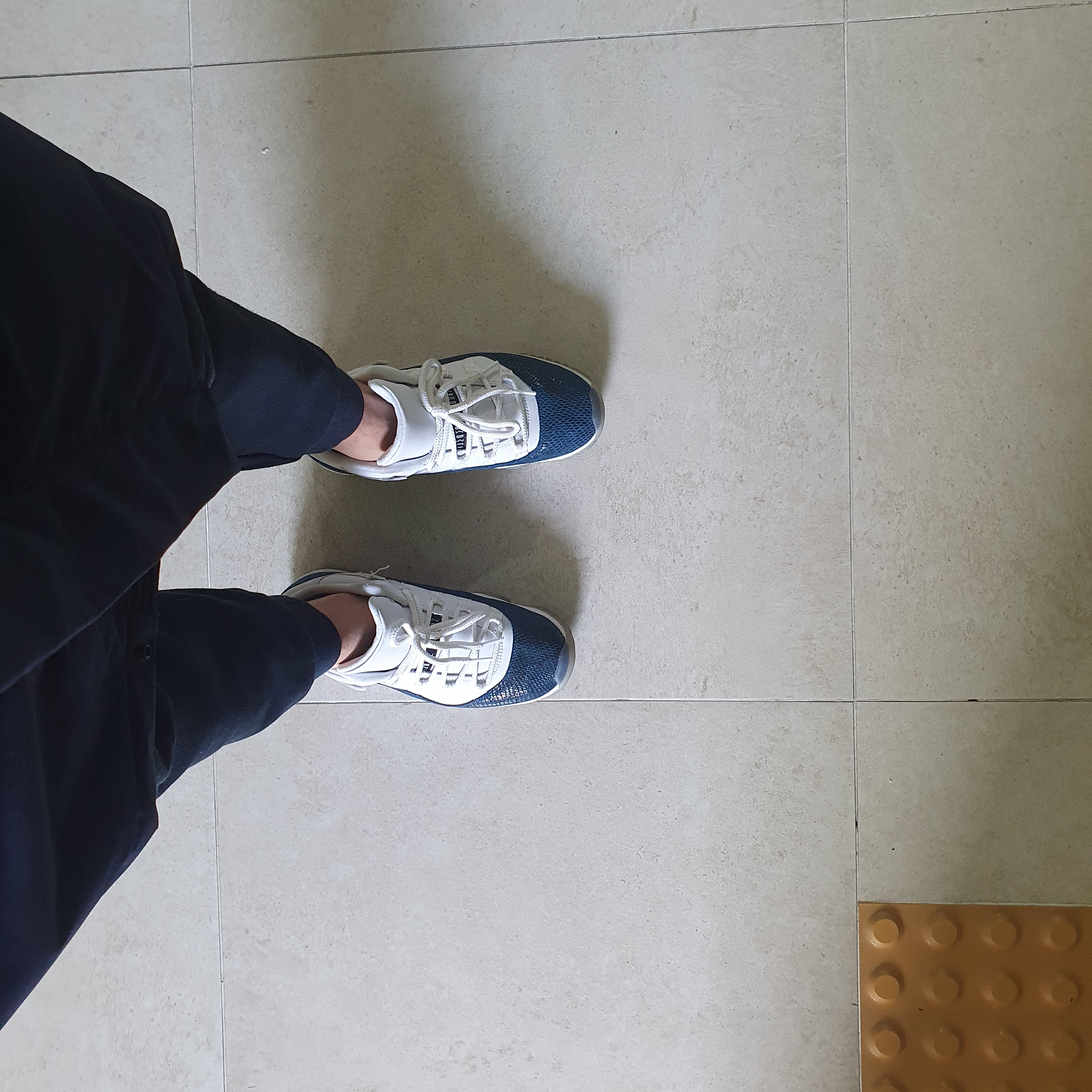 Jordan 11 Retro Low Navy Snakeskin 2019 착용 스타일