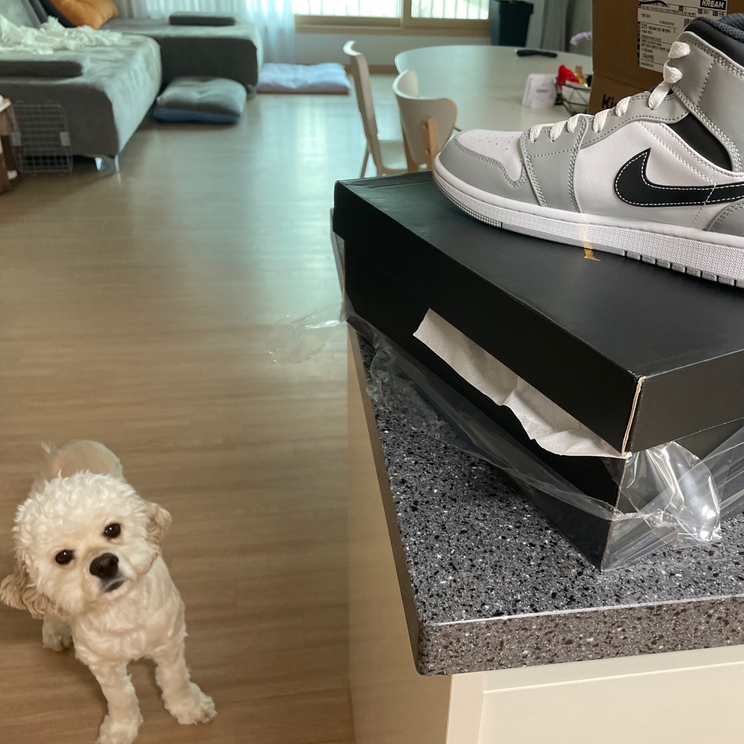 Jordan 1 Mid Light Smoke Grey Anthracite 착용 스타일