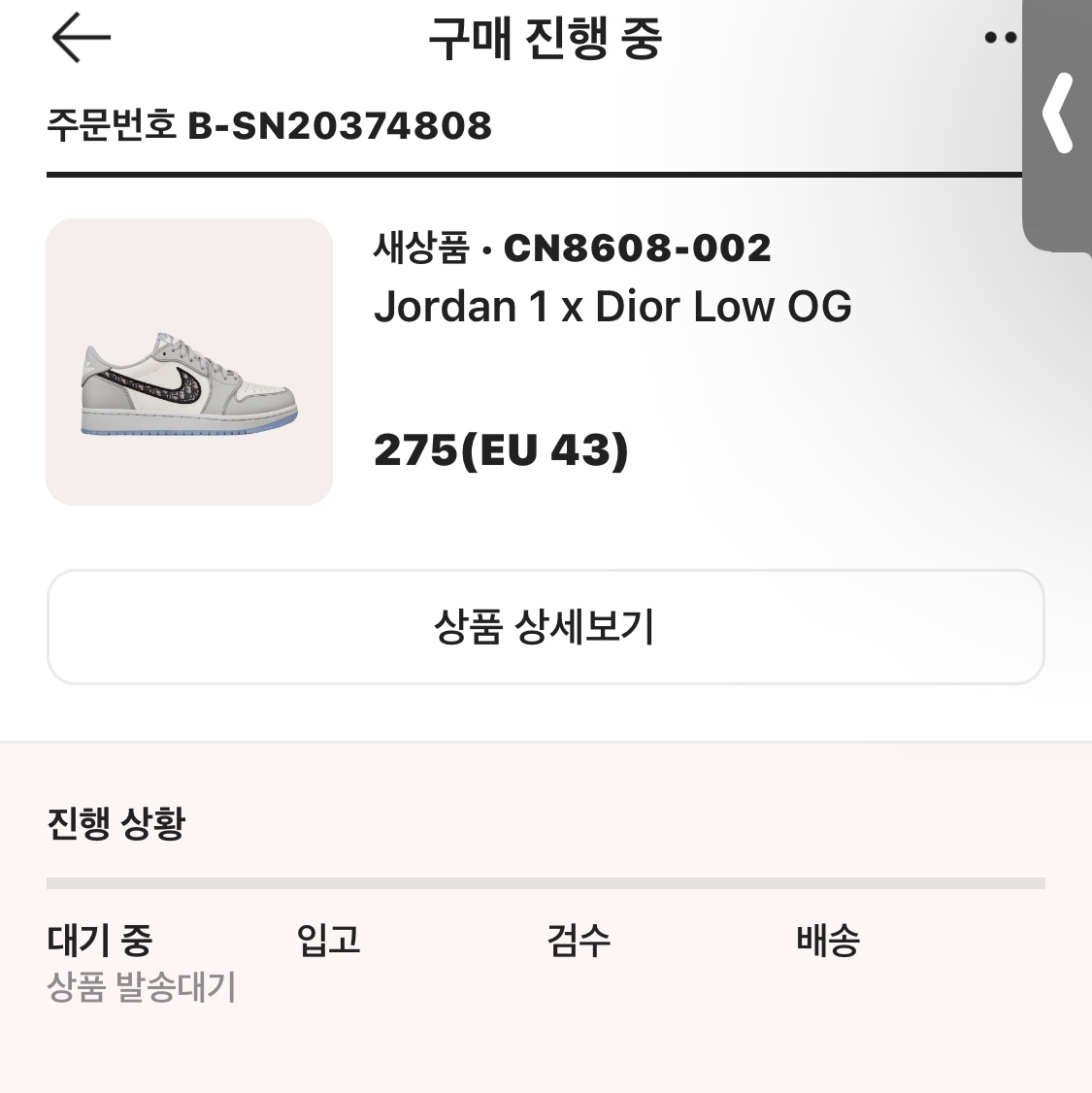 Jordan 1 x Dior Low OG 착용 스타일