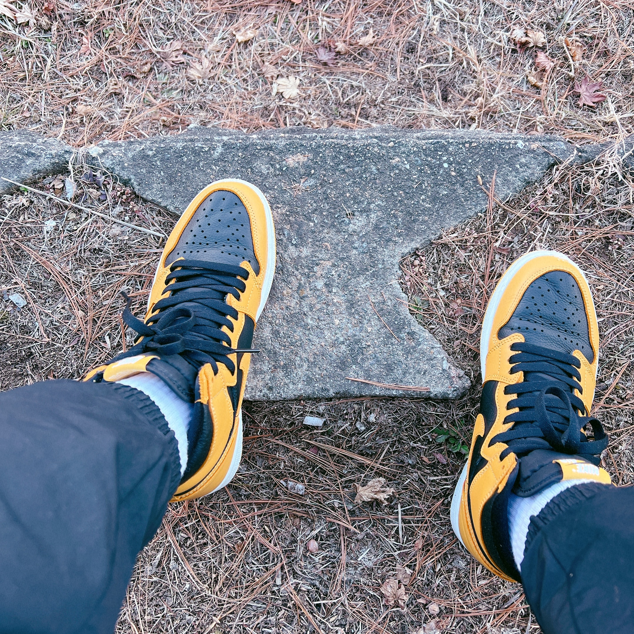 Jordan 1 Retro High OG Pollen 착용 스타일